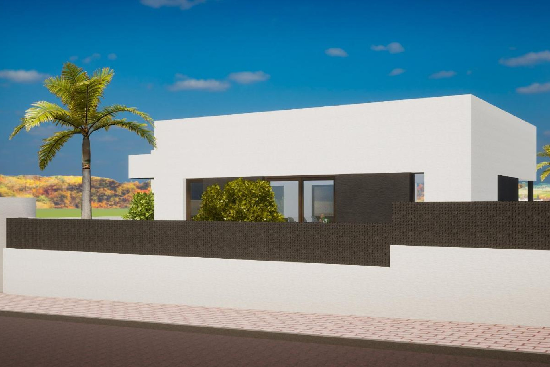 New Build - 4. House - Detached Villa - Alfas del Pí - Pinoso