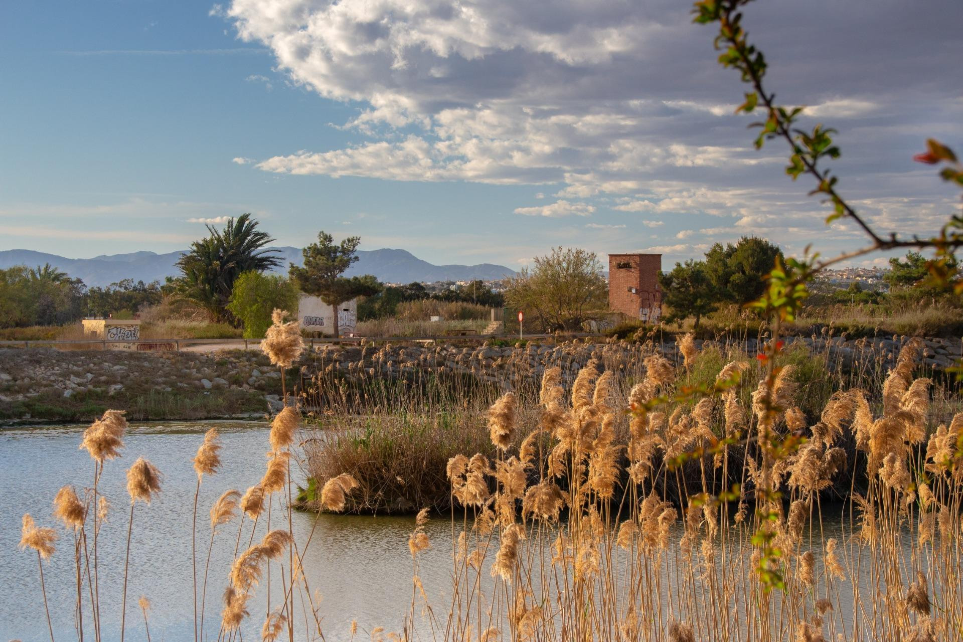 New Build - Bungalow - Guardamar del Segura - Guardamar