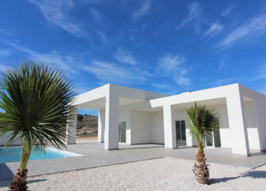 New Build - Villa - Pinoso