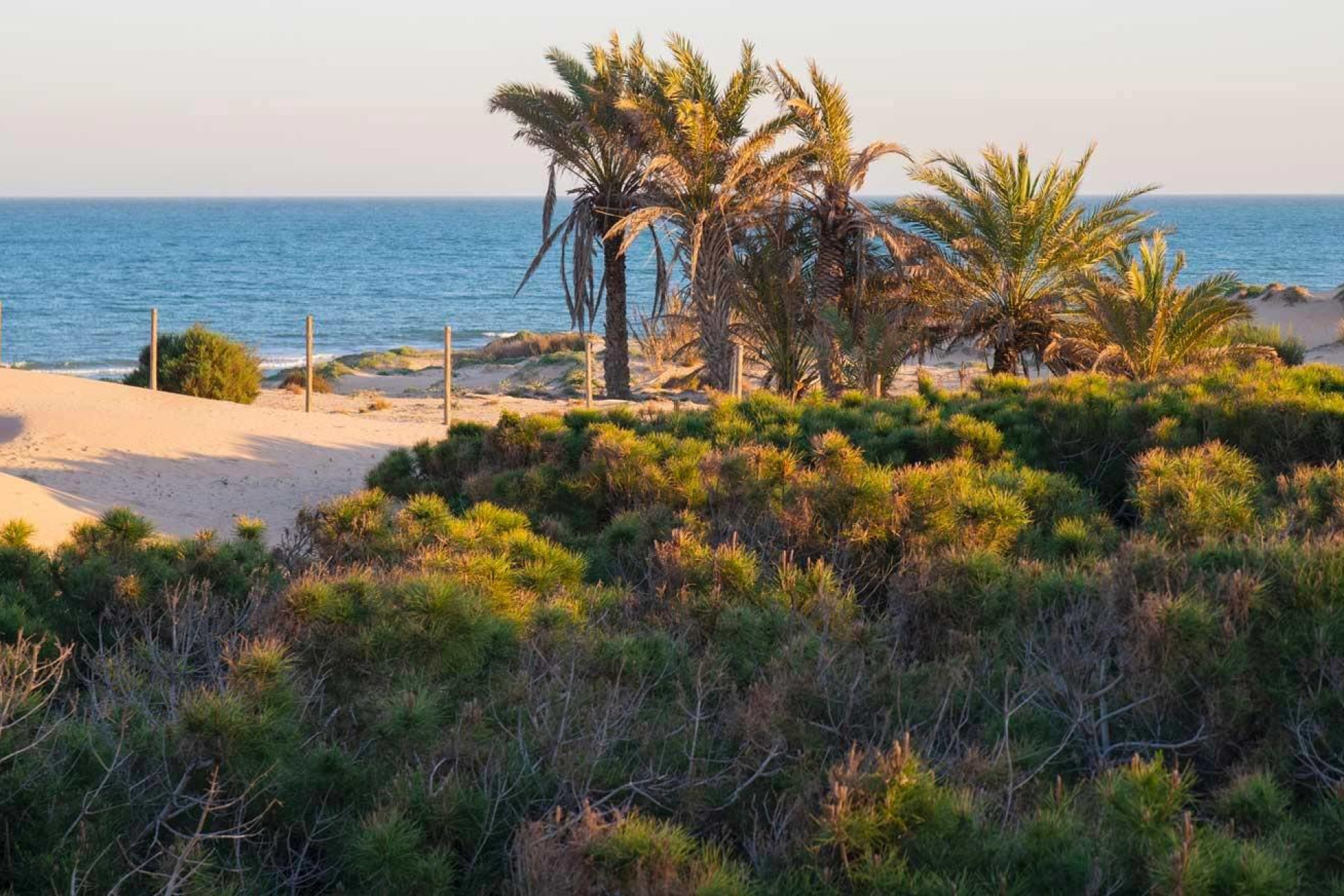 Nieuwbouw woningen - 1. Appartement / flat - Guardamar del Segura - Avda del Puerto