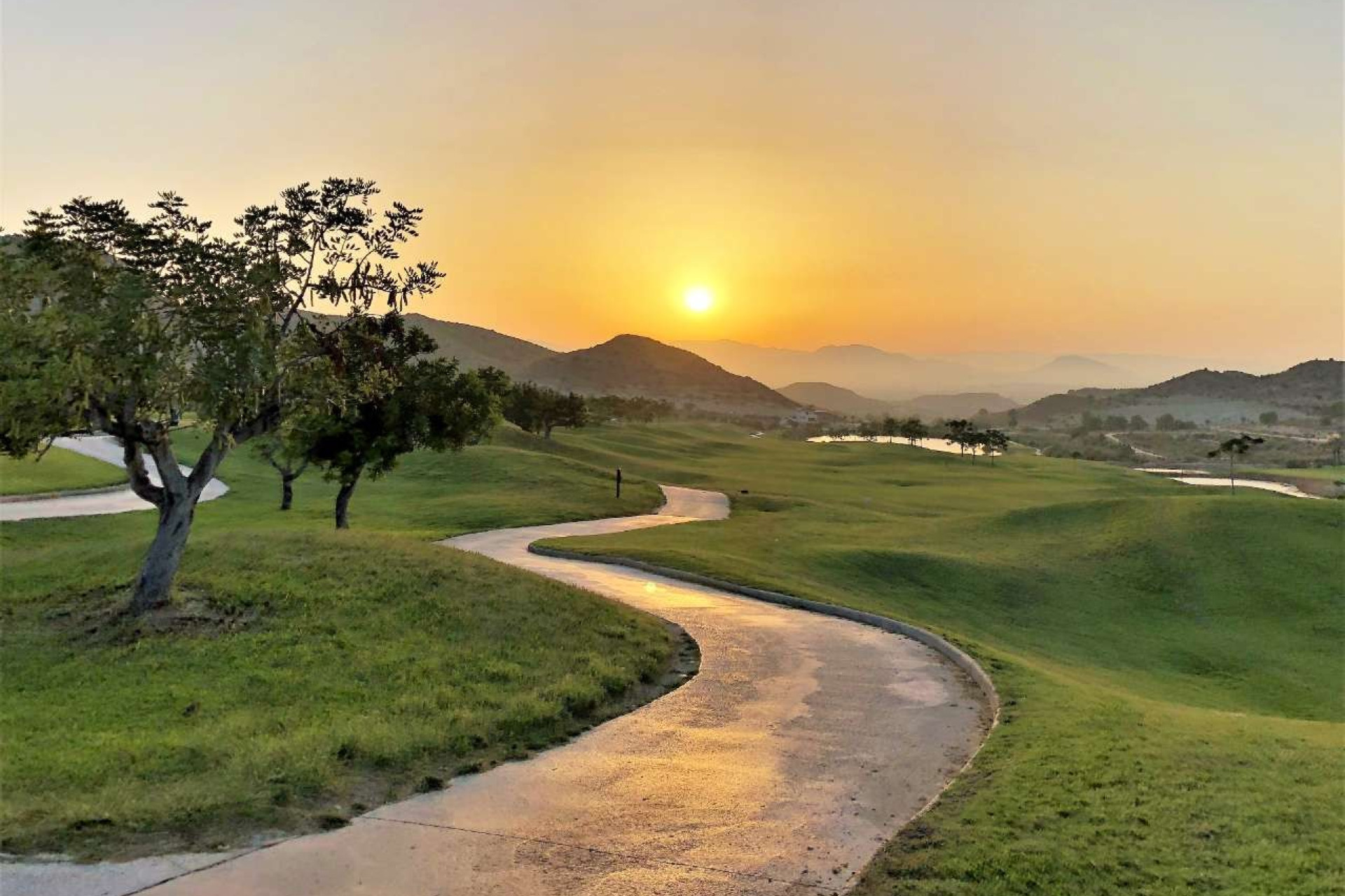 Nieuwbouw woningen - 1. Appartement / flat - Monforte del Cid - Costa Blanca Noord