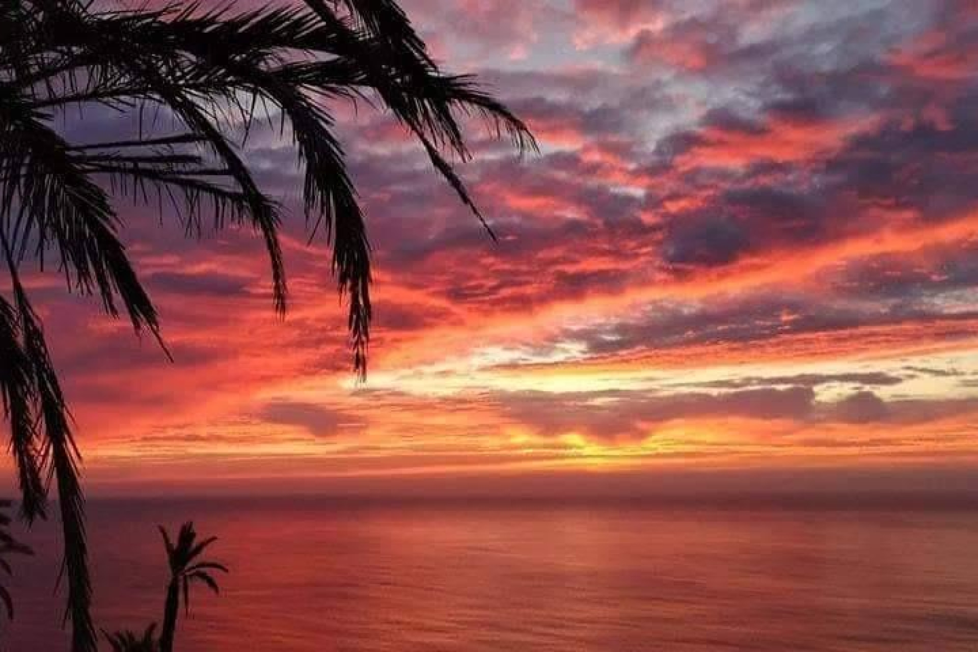 Nieuwbouw woningen - 1. Appartement / flat - Torrevieja - Costa Blanca Zuid