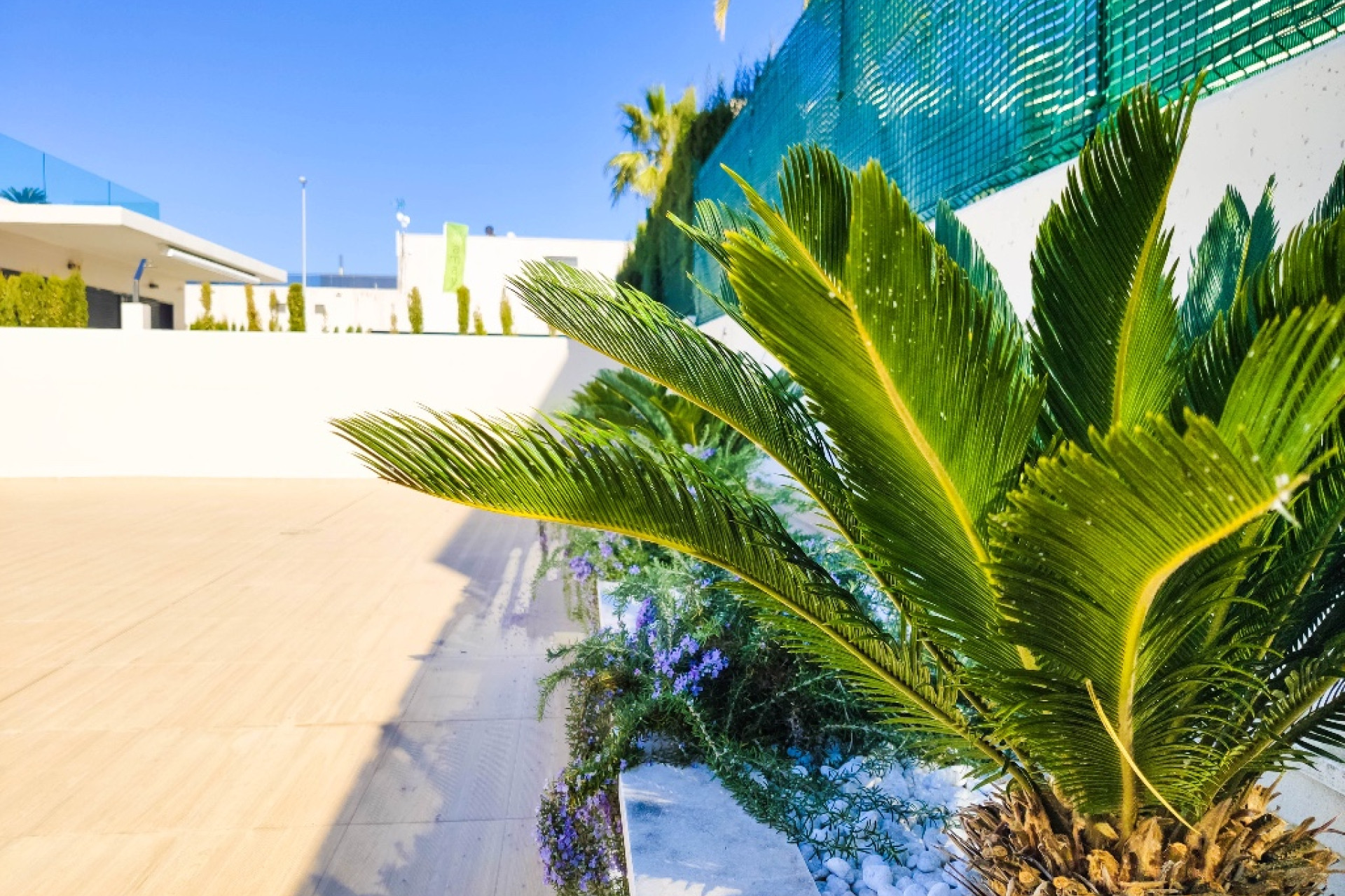 Nieuwbouw woningen - 3. Halfvrijstaand huis - Dehesa de Campoamor - Costa Blanca Zuid