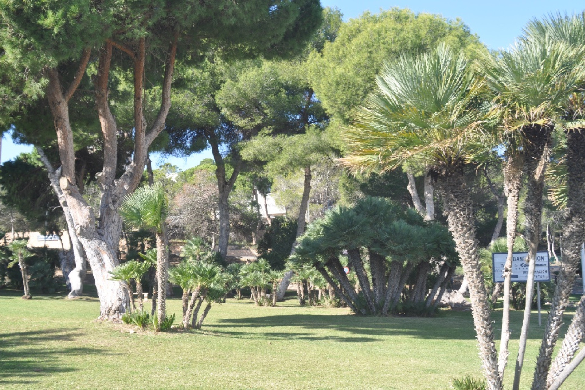 Nieuwbouw woningen - 3. Halfvrijstaand huis - Dehesa de Campoamor - Costa Blanca Zuid