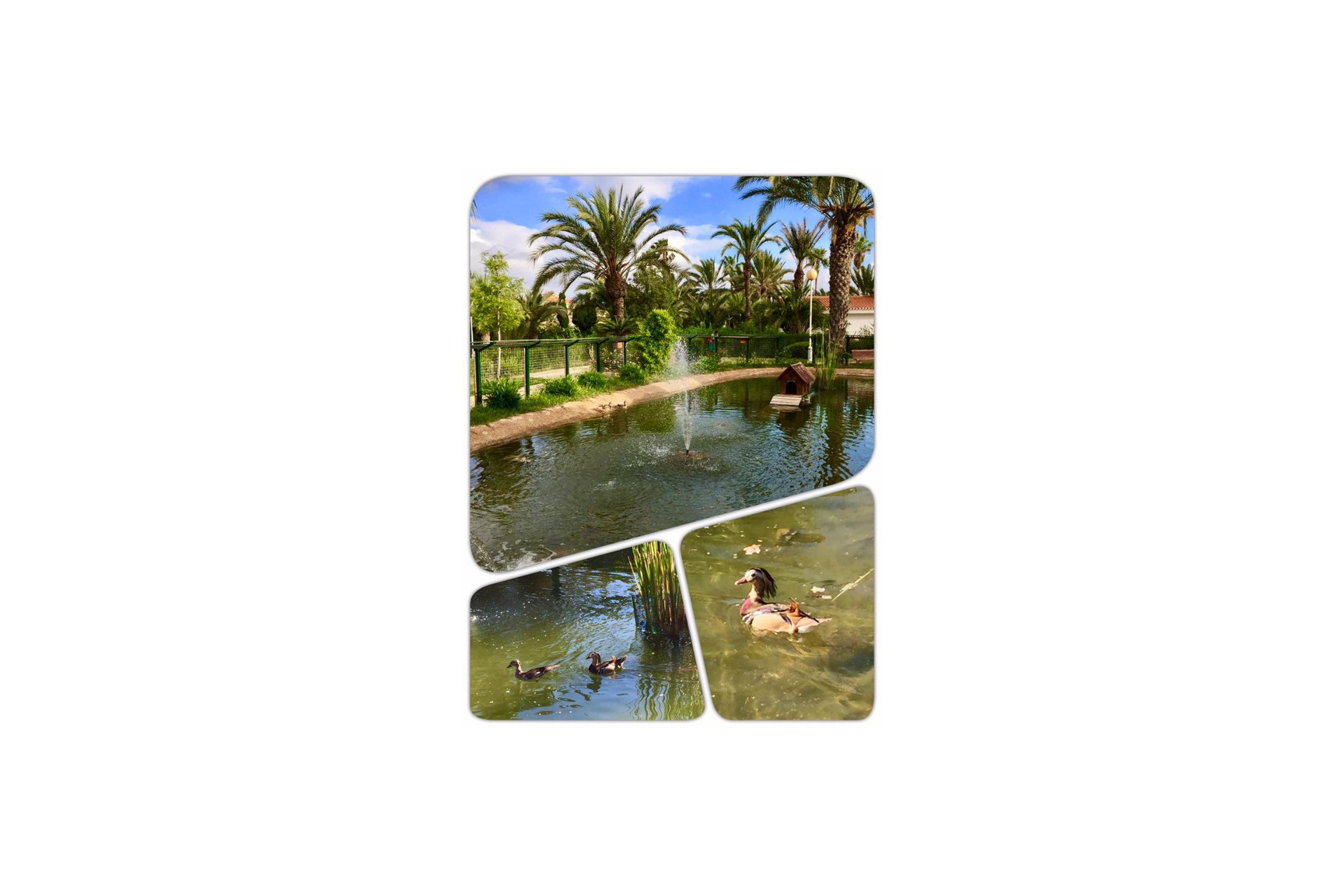 Nieuwbouw woningen - 3. Halfvrijstaand huis - Murcia - Costa Calida