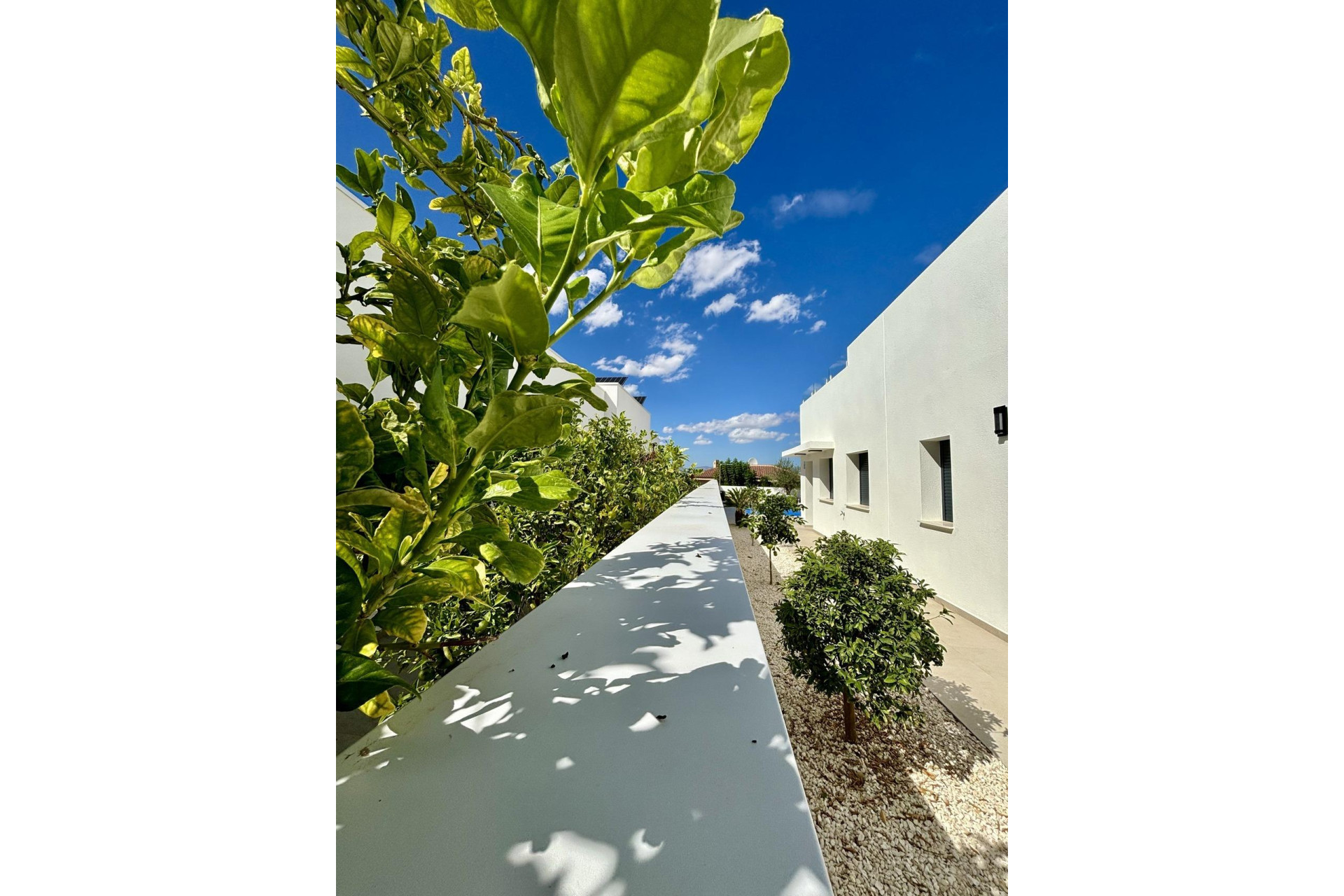 Nieuwbouw woningen - 3. Vrijstaande villa - Benijófar - Costa Blanca Zuid