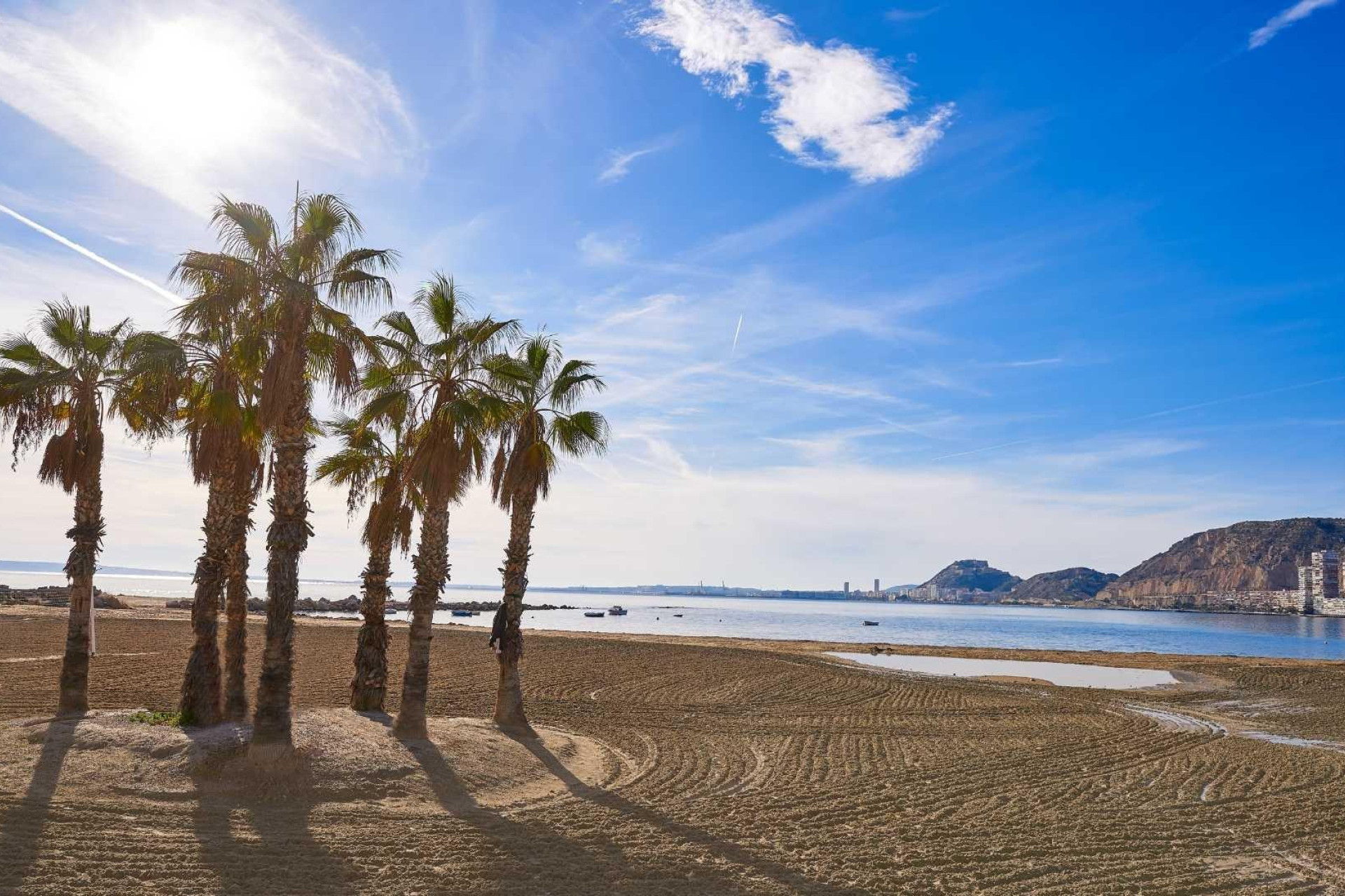 Nieuwbouw woningen - 3. Vrijstaande villa - Els Poblets - Costa Blanca Noord