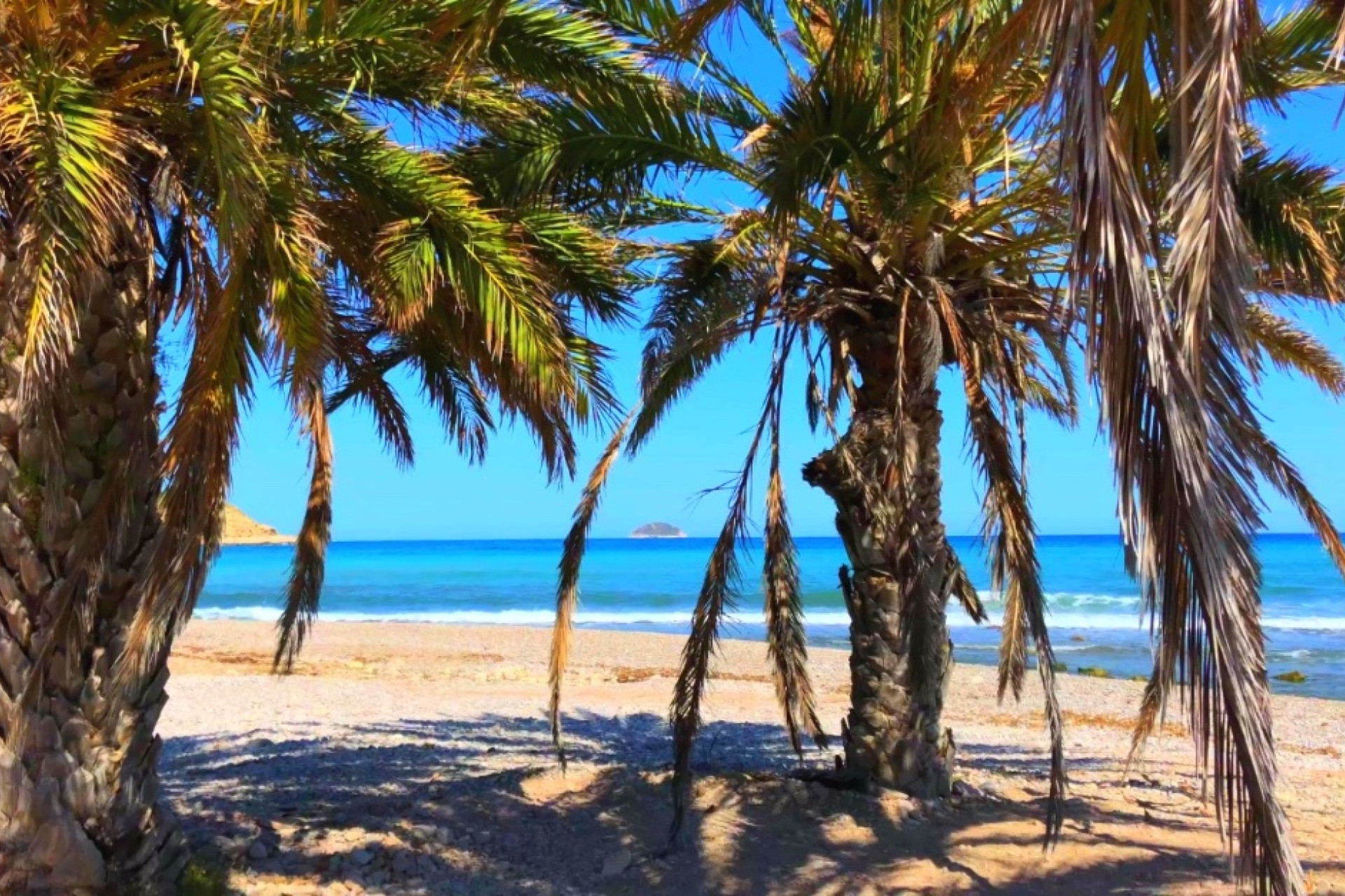 Obra nueva - 1. Apartamento / piso - Benidorm - Costa Blanca Norte 