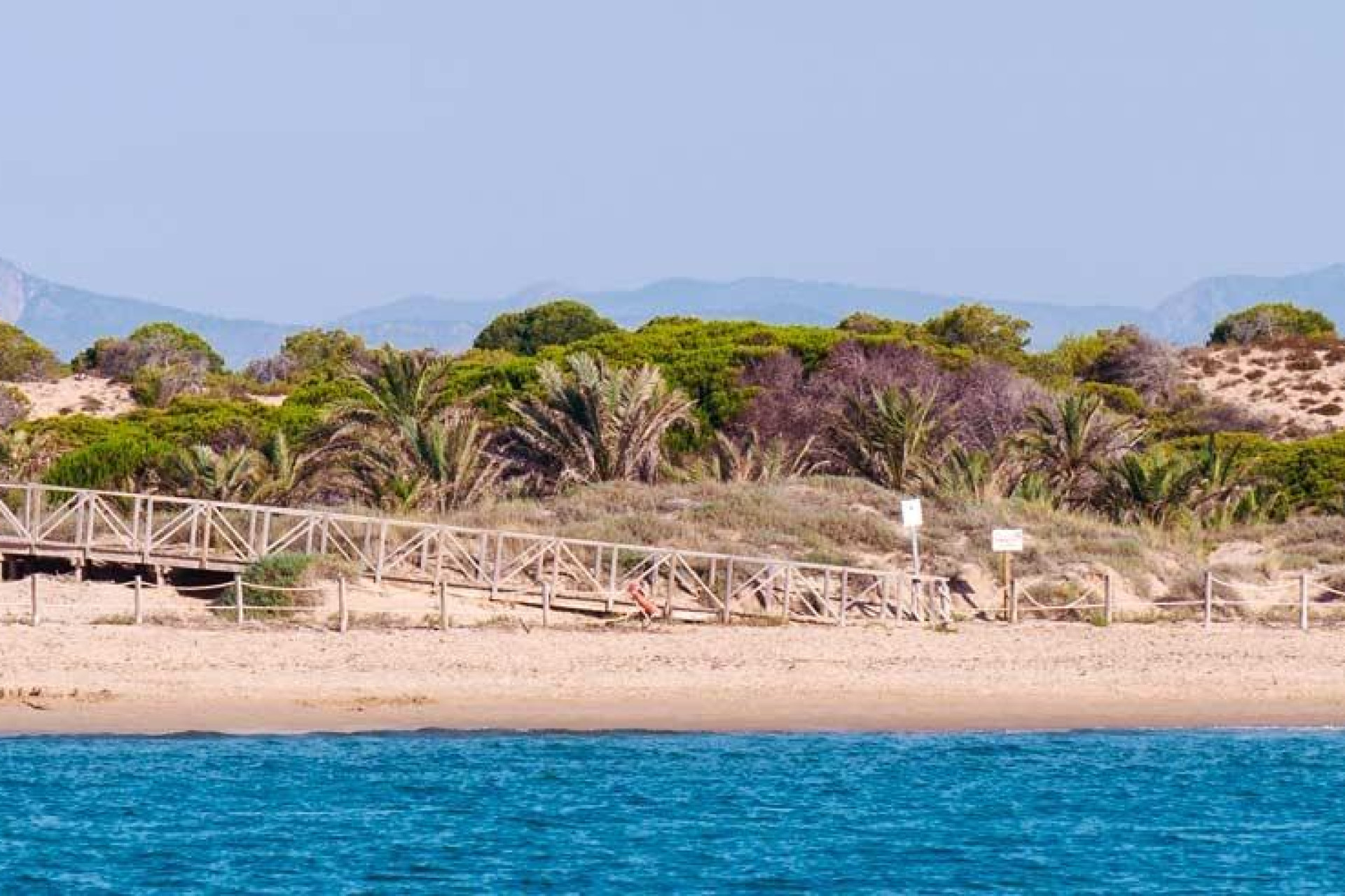 Obra nueva - 1. Apartamento / piso - Guardamar del Segura - Costa Blanca Sur