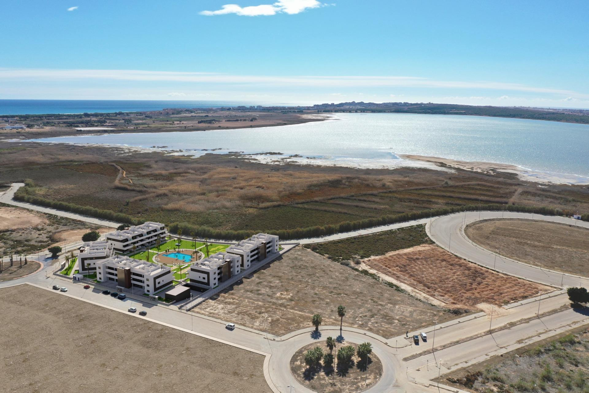 Obra nueva - 1. Apartamento / piso - Guardamar del Segura - Costa Blanca Sur