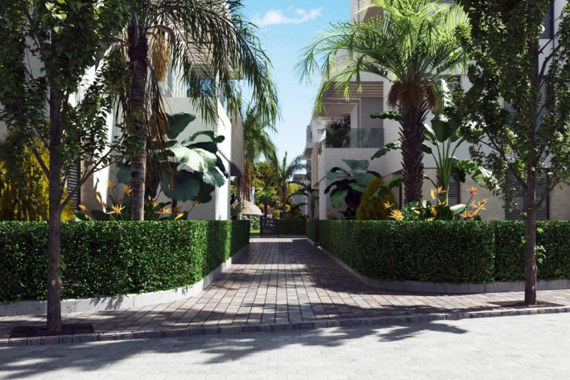 Obra nueva - 1. Apartamento / piso - Los Alcazares - Costa Calida