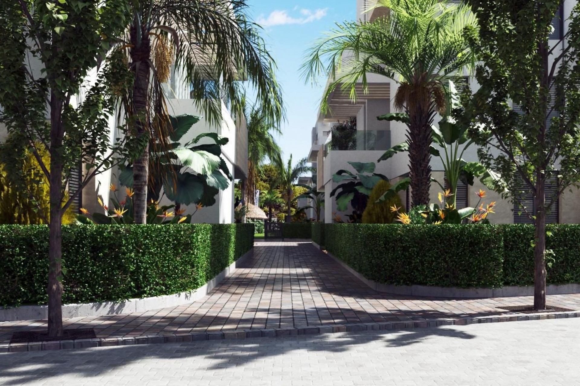 Obra nueva - 1. Apartamento / piso - Los Alcazares - Costa Calida