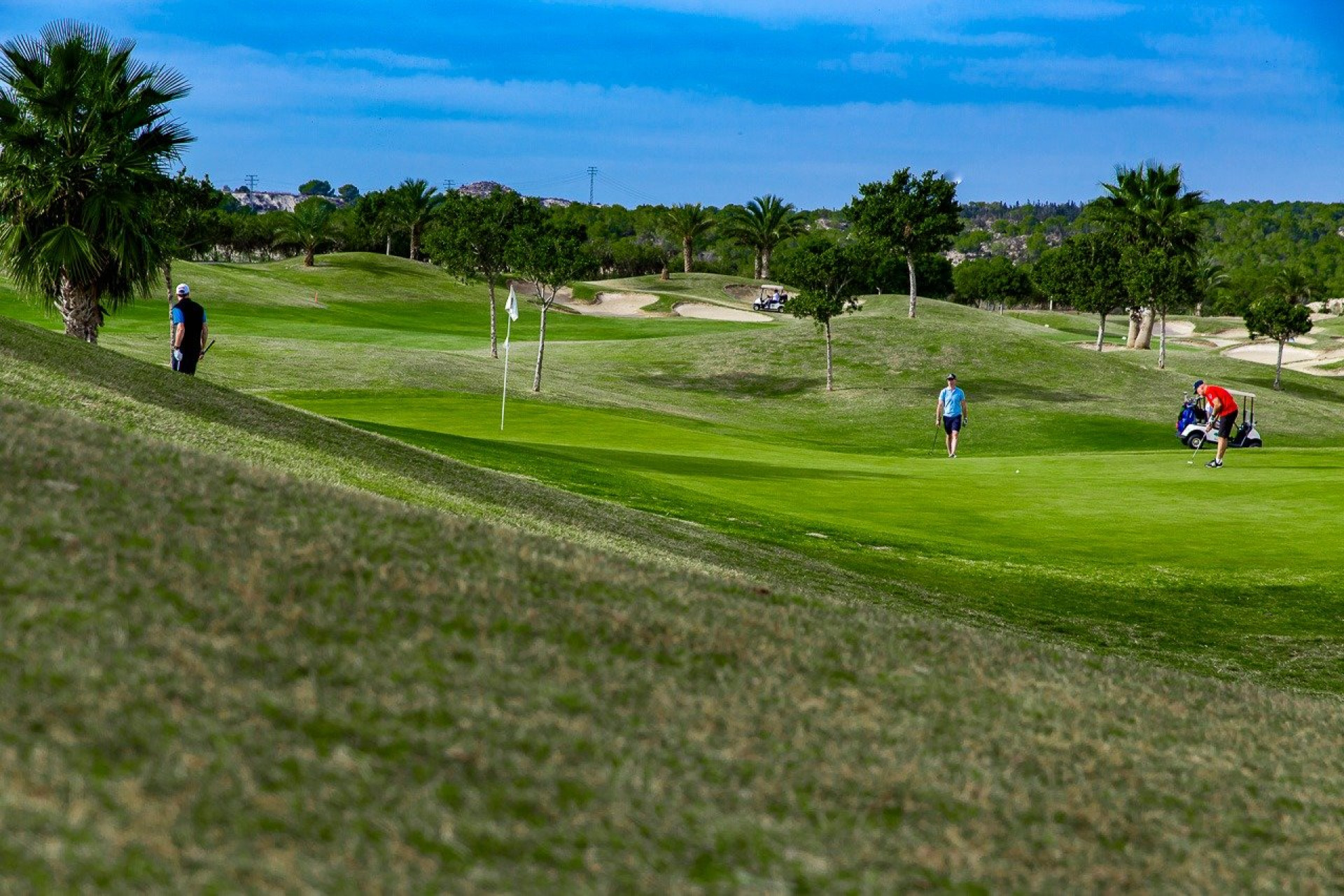 Obra nueva - 1. Apartamento / piso - Orihuela - Costa Blanca Sur