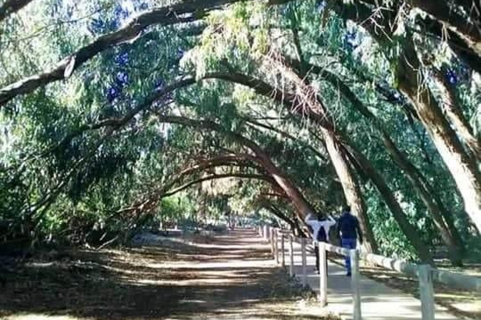 Obra nueva - 1. Apartamento / piso - Torrevieja - Costa Blanca Sur