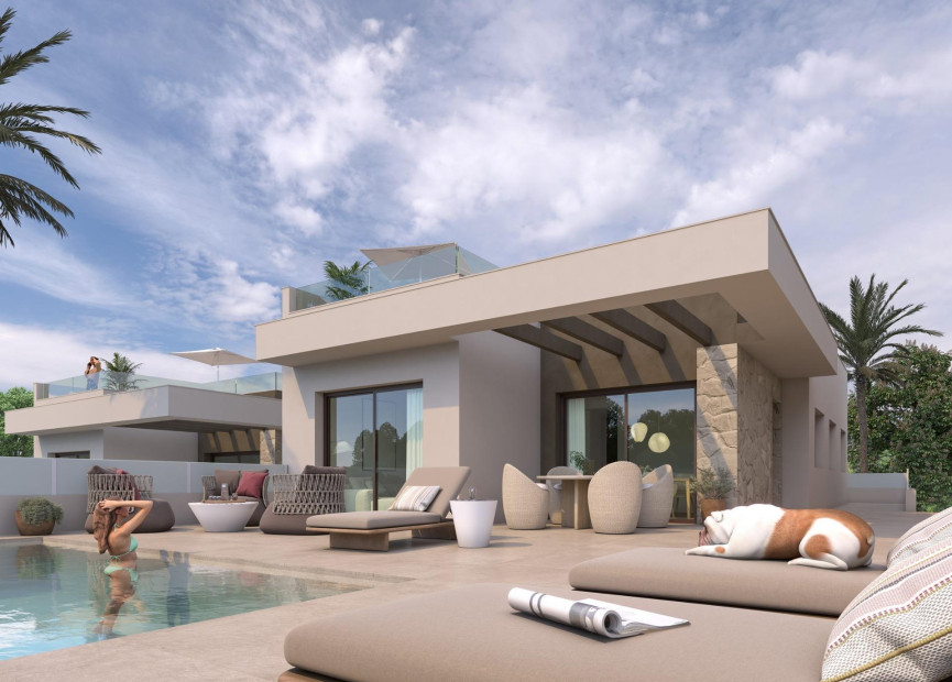Obra nueva - 3. Casa indepiende - Benijófar - Costa Blanca Sur