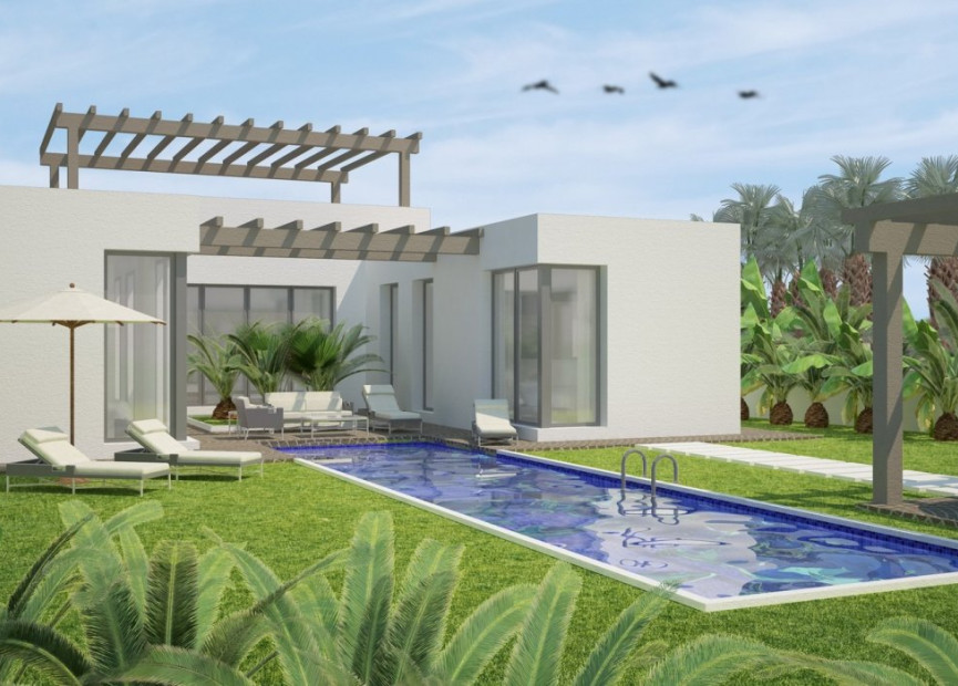 Obra nueva - 3. Casa indepiende - Benijófar - Costa Blanca Sur