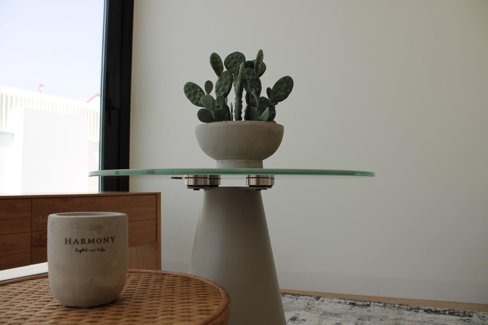 Obra nueva - 3. Casa indepiende - Pilar de la Horadada - Costa Blanca Sur