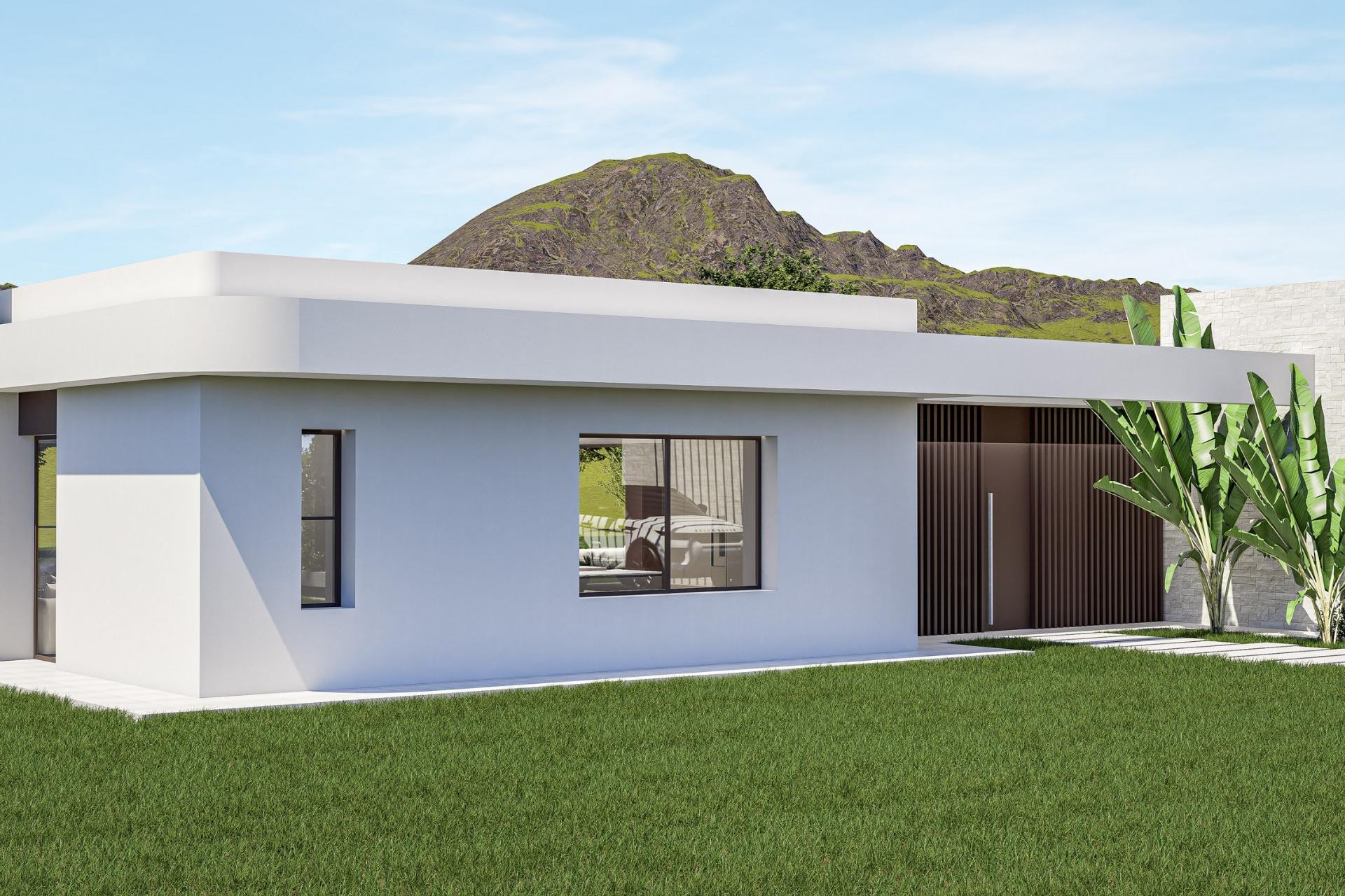 Obra nueva - 3. Casa indepiende - Pinoso - Costa Blanca Norte 