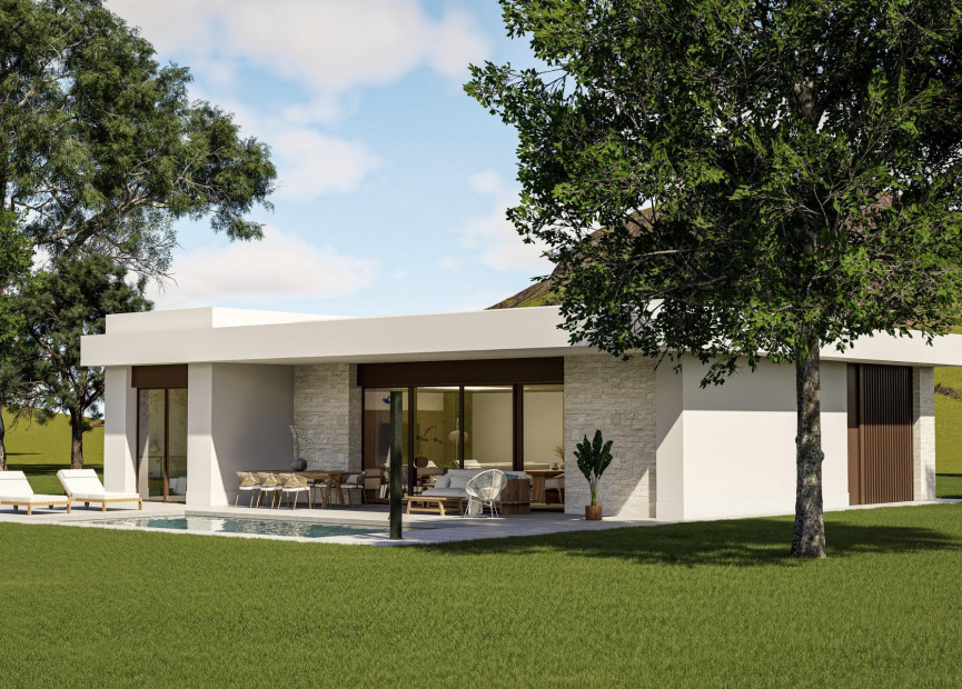 Obra nueva - 3. Casa indepiende - Pinoso - Costa Blanca Norte 