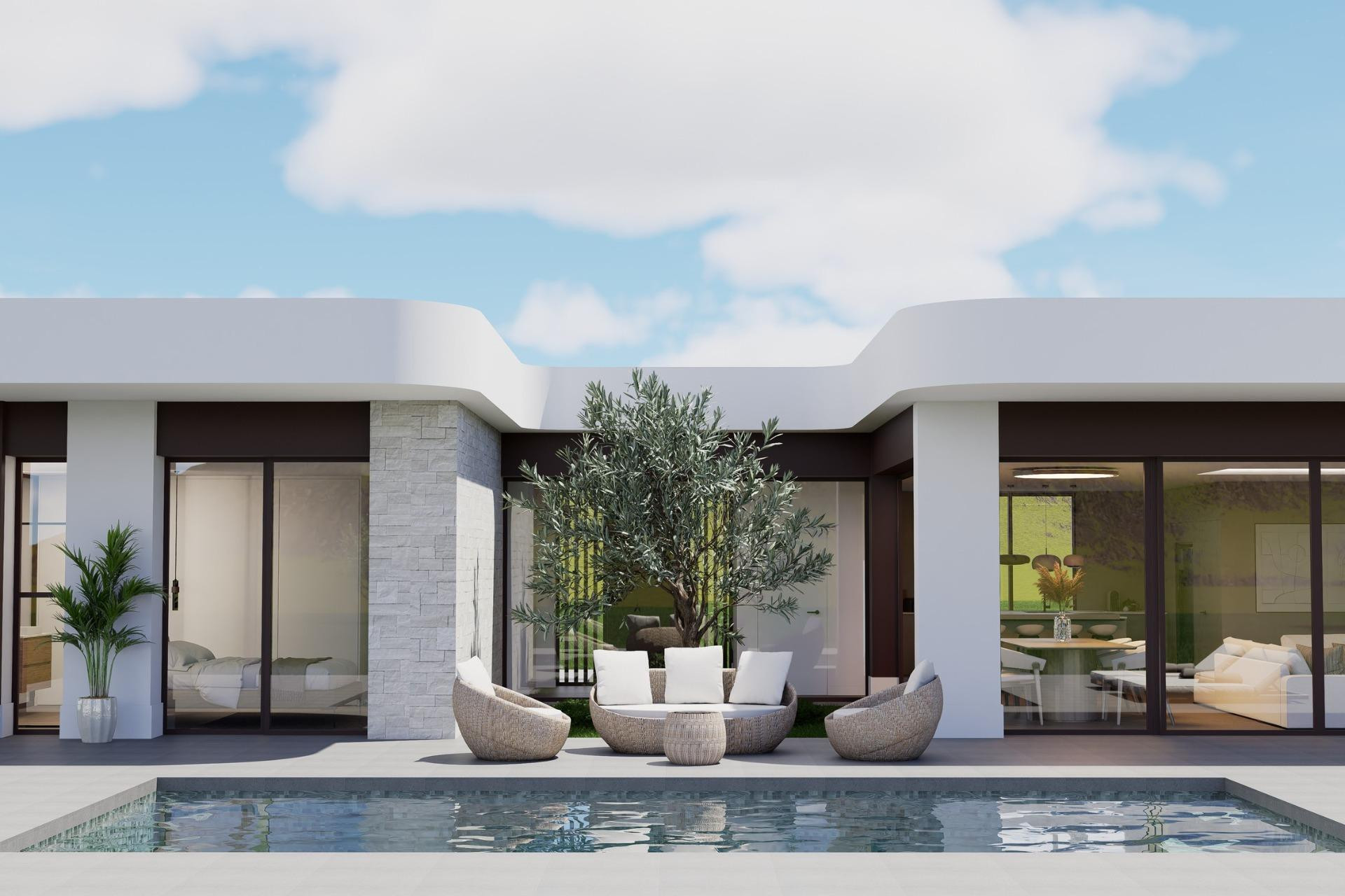 Obra nueva - 3. Casa indepiende - Pinoso - Costa Blanca Norte 