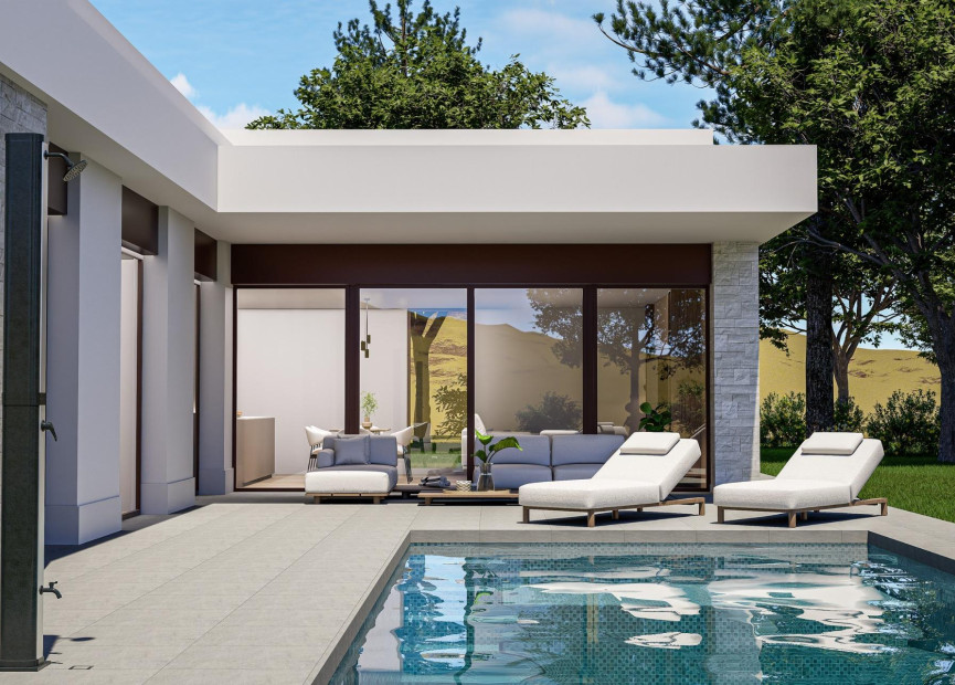 Obra nueva - 3. Casa indepiende - Pinoso - Costa Blanca Norte 