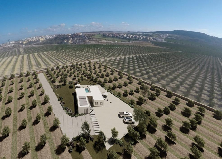 Obra nueva - 3. Casa pareada - Algorfa - Costa Blanca Sur