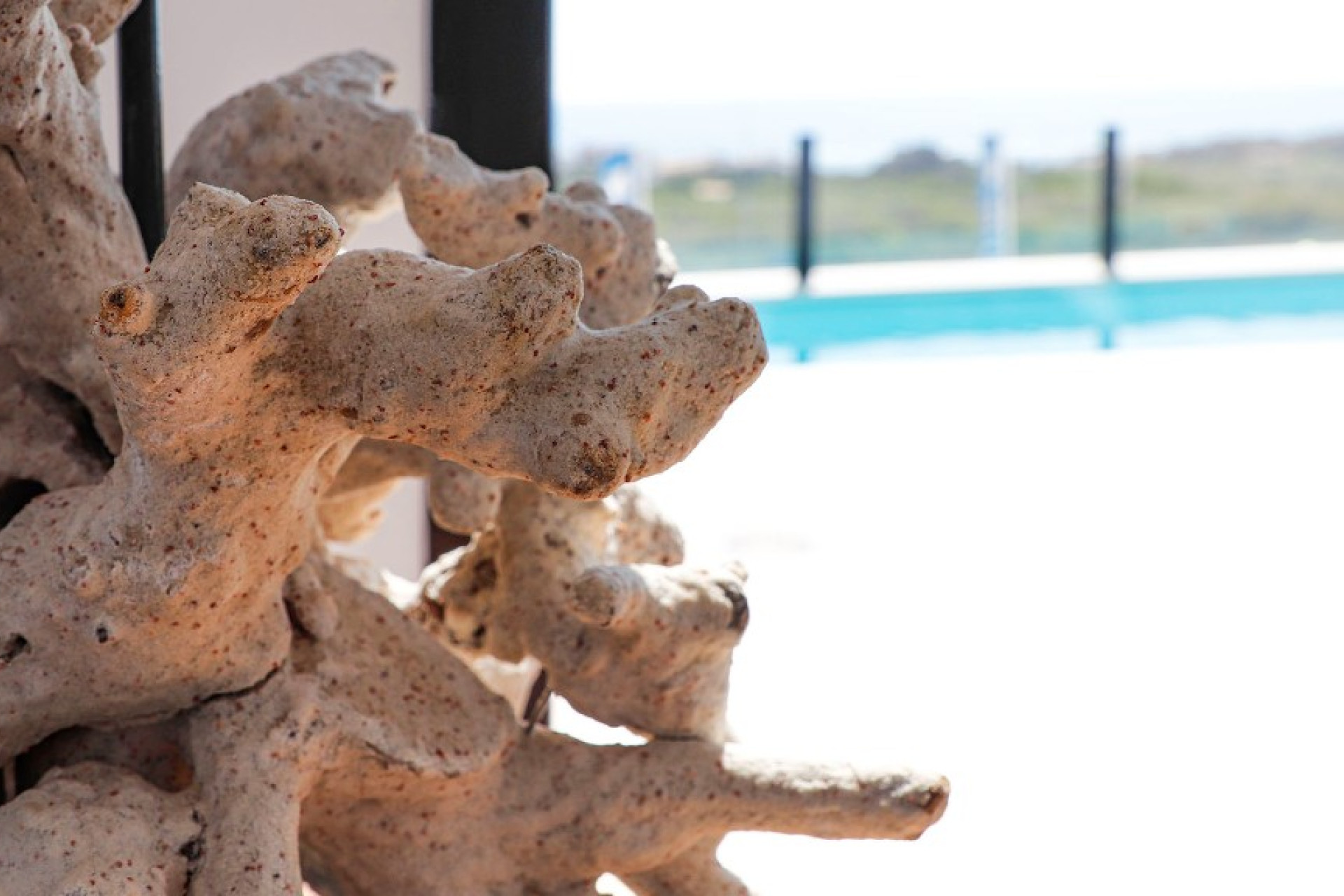 Obra nueva - 3. Casa pareada - Guardamar del Segura - Costa Blanca Sur