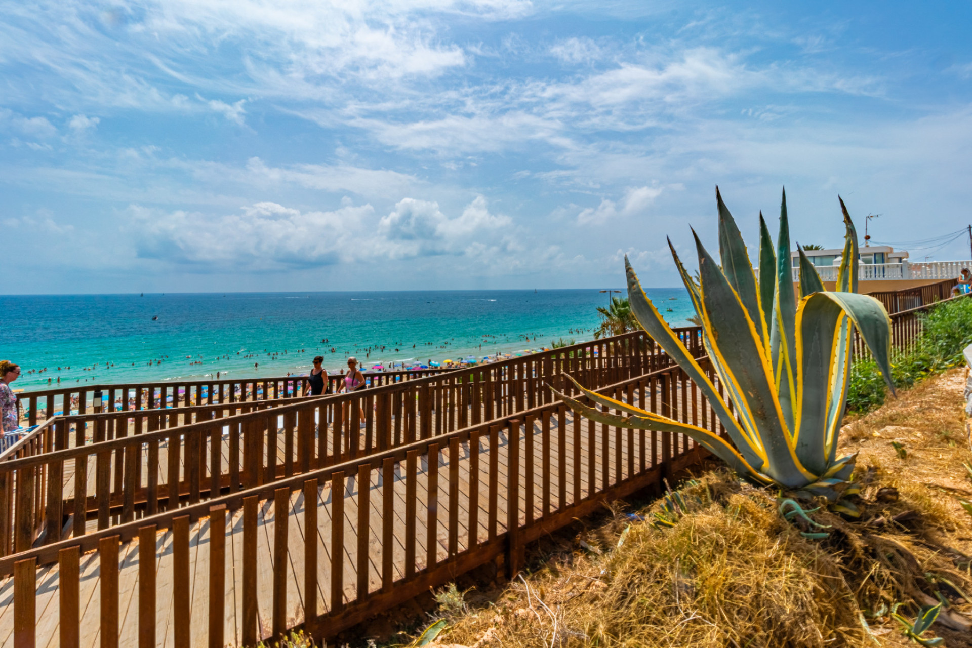 Obra nueva - 3. Casa pareada - La Zenia - Costa Blanca Sur