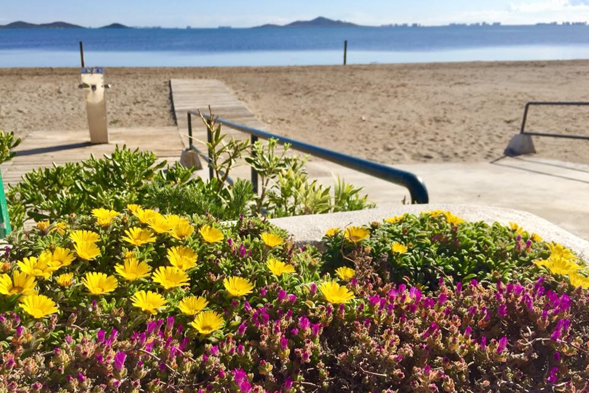 Obra nueva - 3. Casa pareada - Murcia - Costa Calida