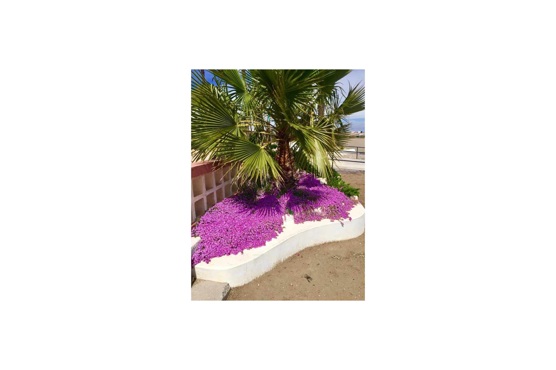 Obra nueva - 3. Casa pareada - Murcia - Costa Calida