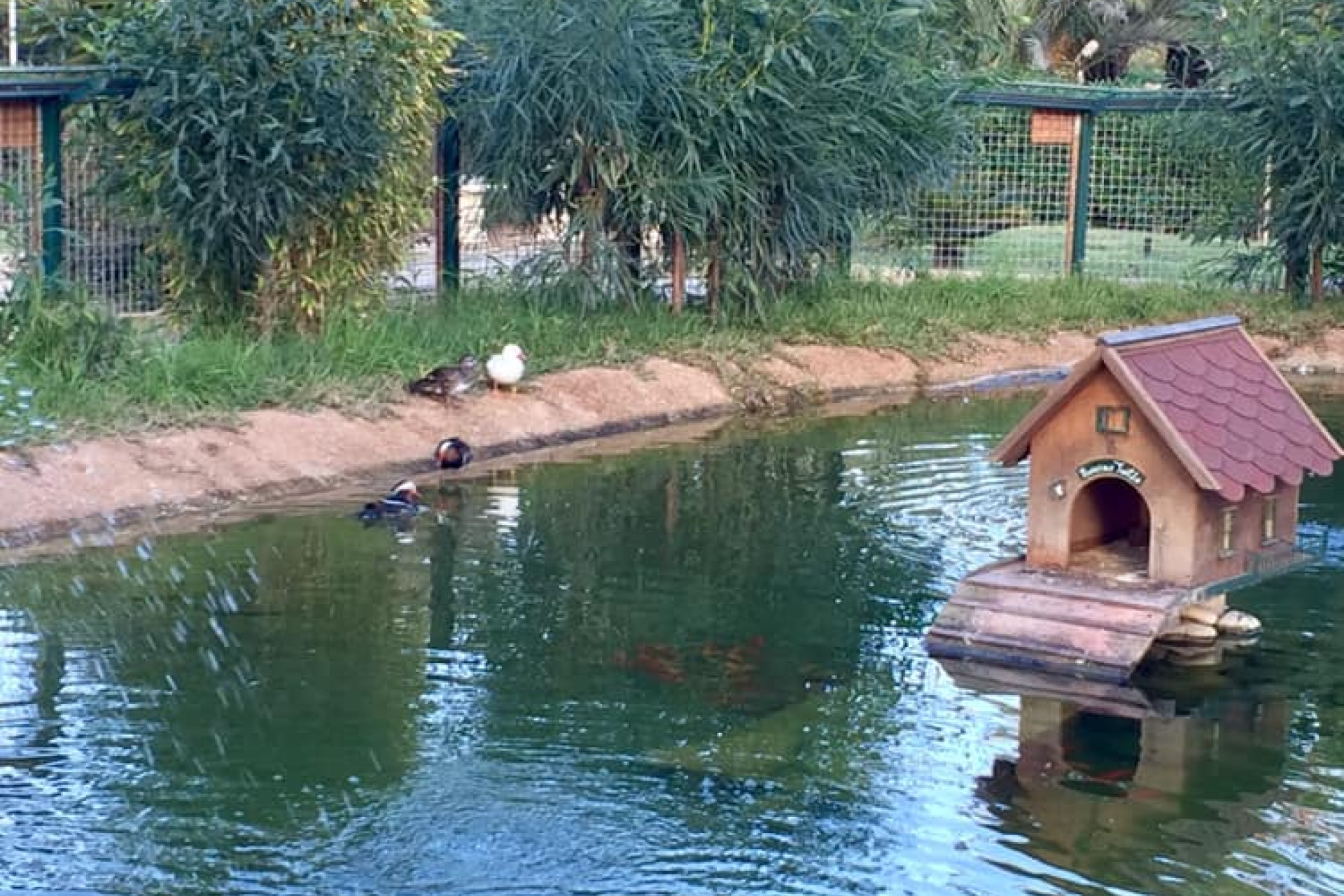 Obra nueva - 3. Casa pareada - Murcia - Costa Calida