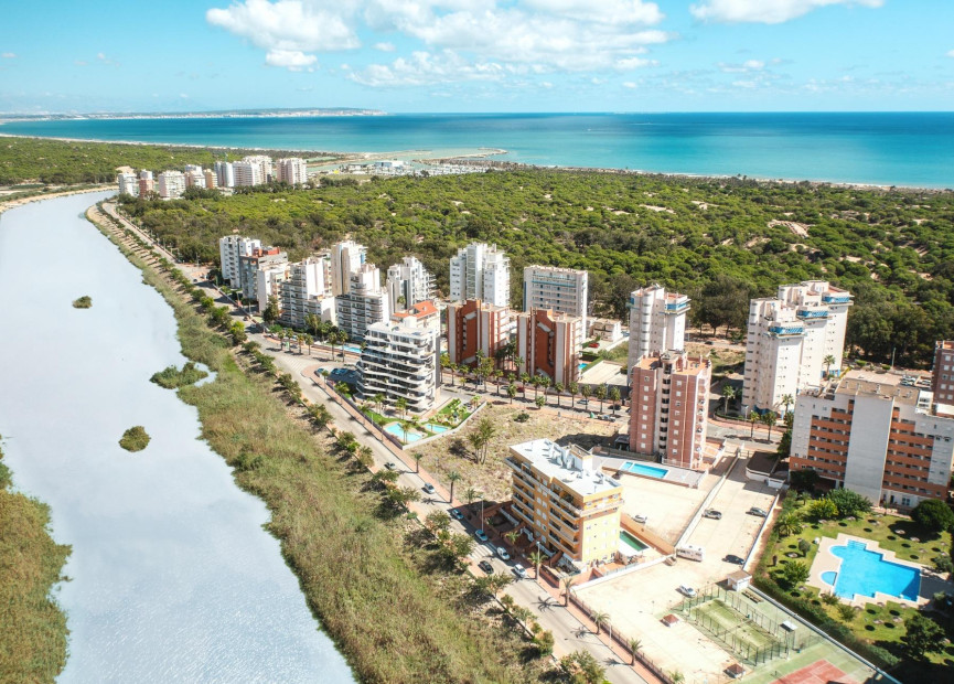 Obra nueva - Apartment - Guardamar del Segura - Guardamar