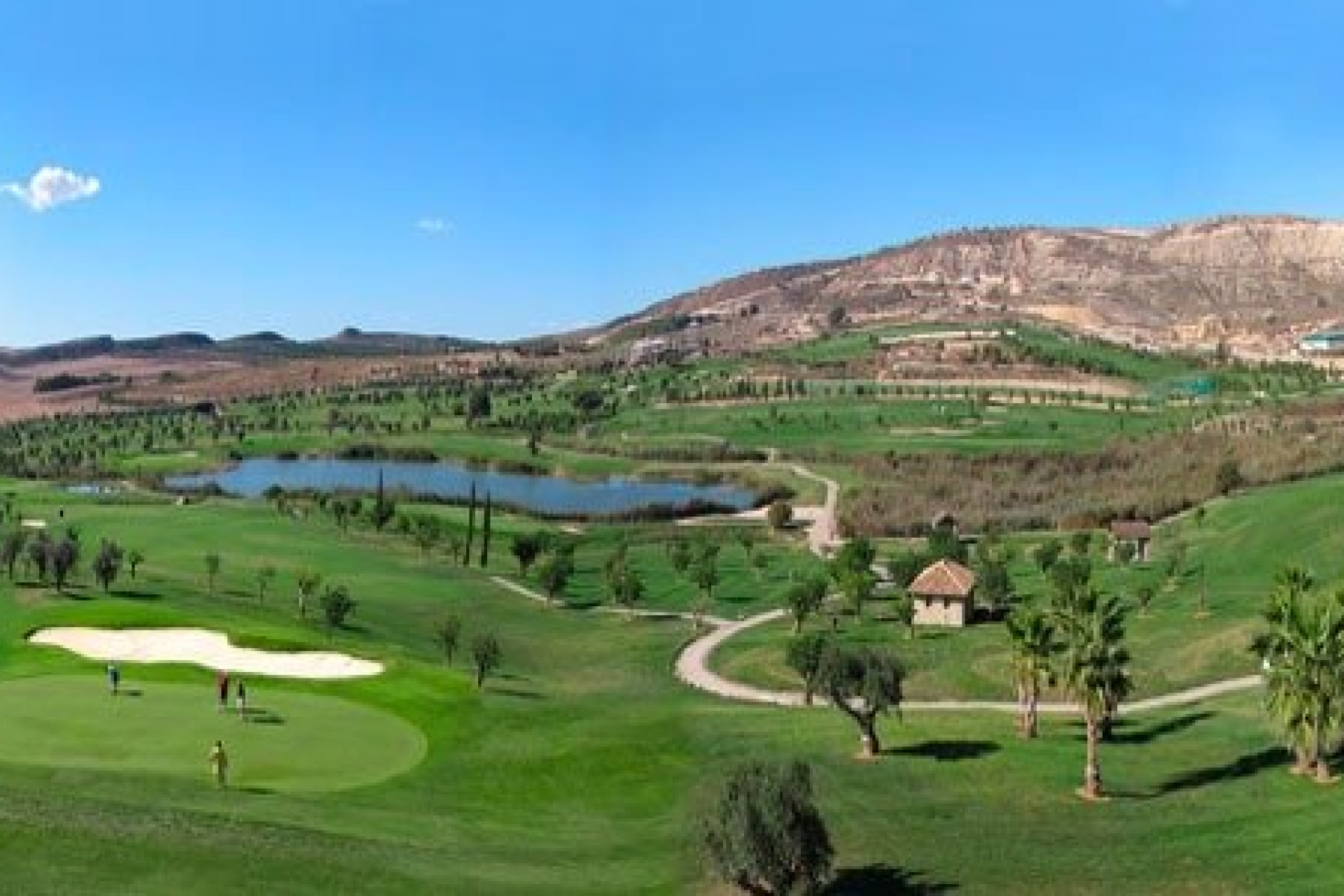 Obra nueva - Bungalow - Algorfa - Vistabella Golf