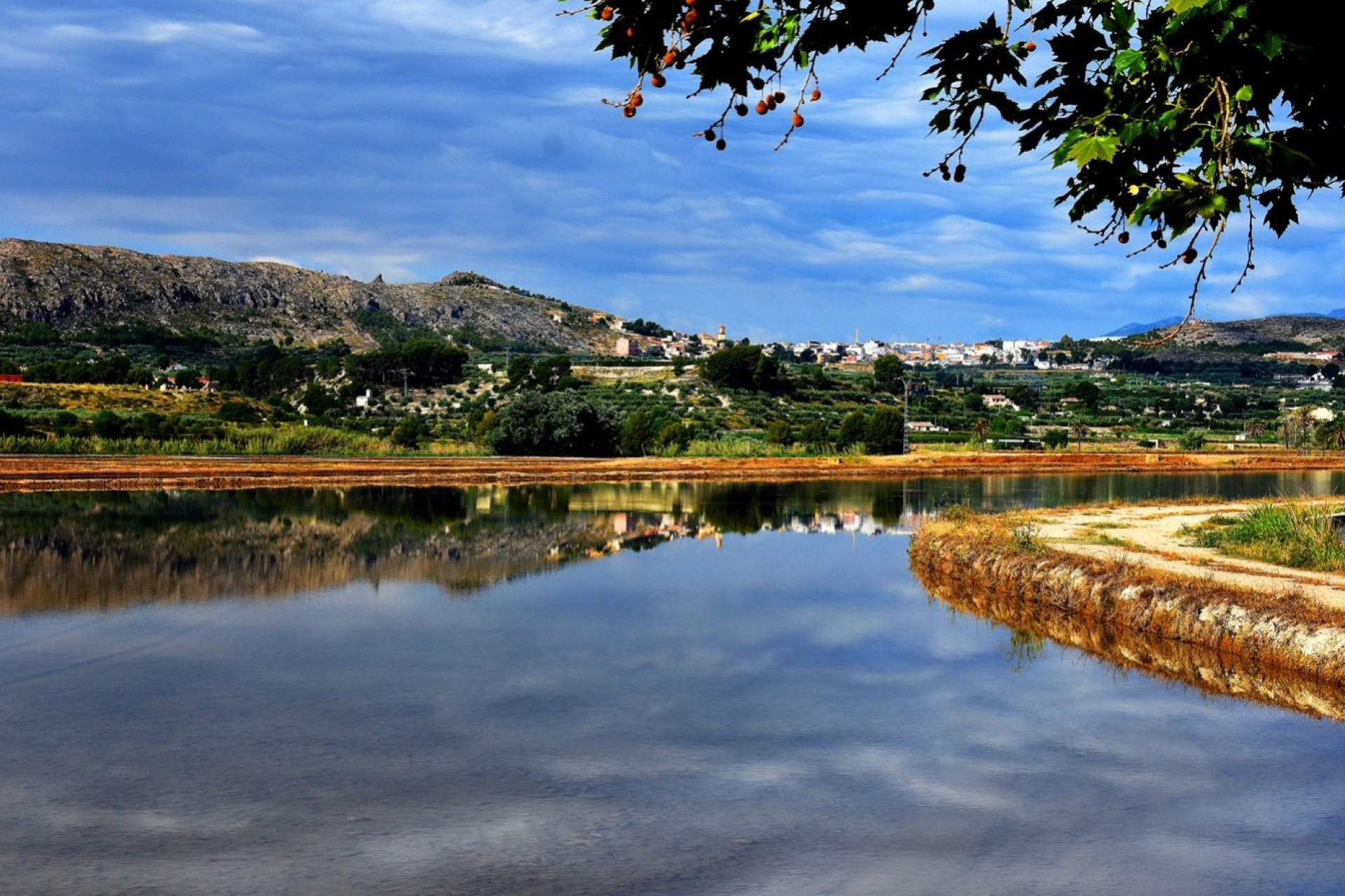 Obra nueva - Villa - CALASPARRA - Murcia