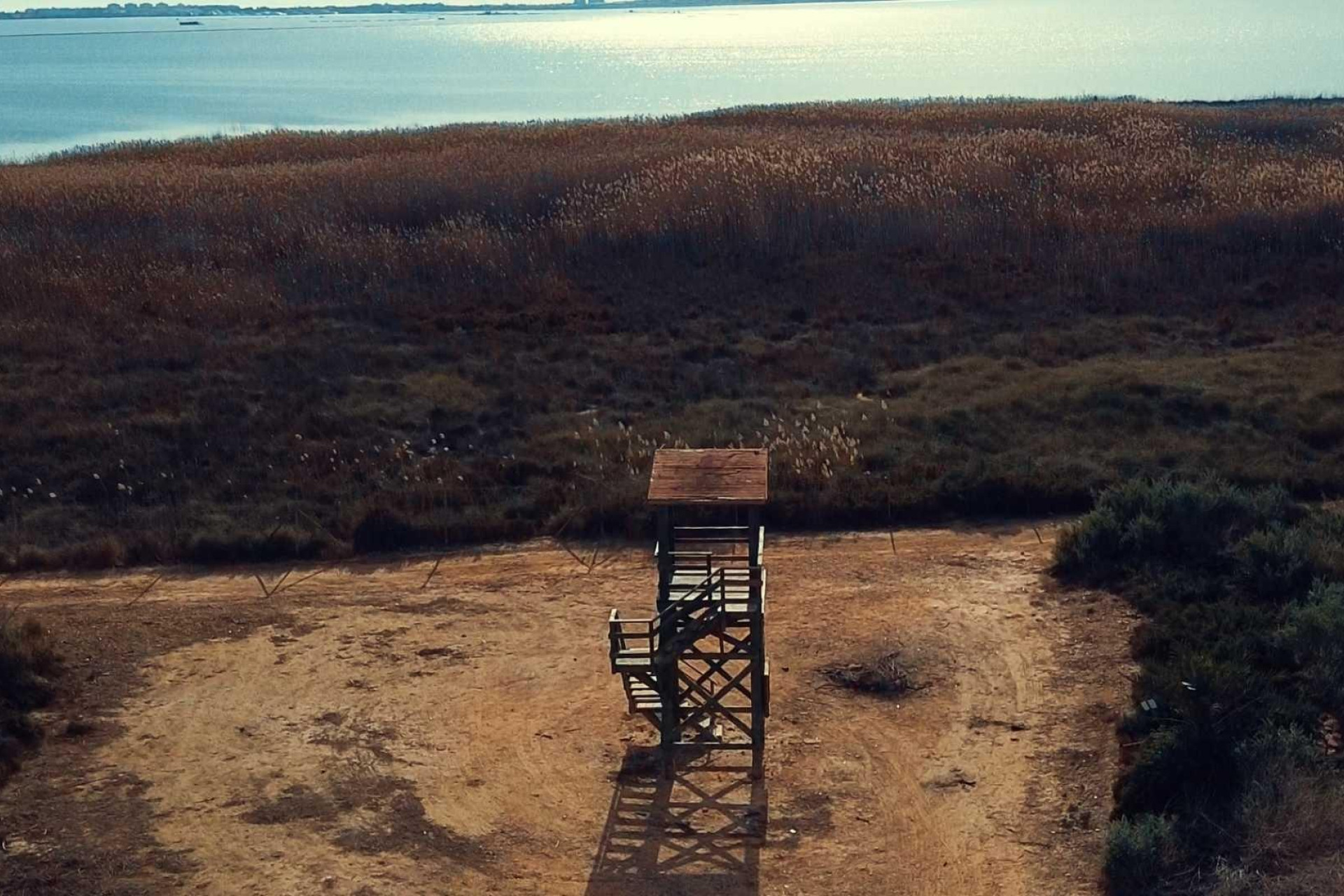 Obra nueva - Villa - Los Montesinos - Rojales