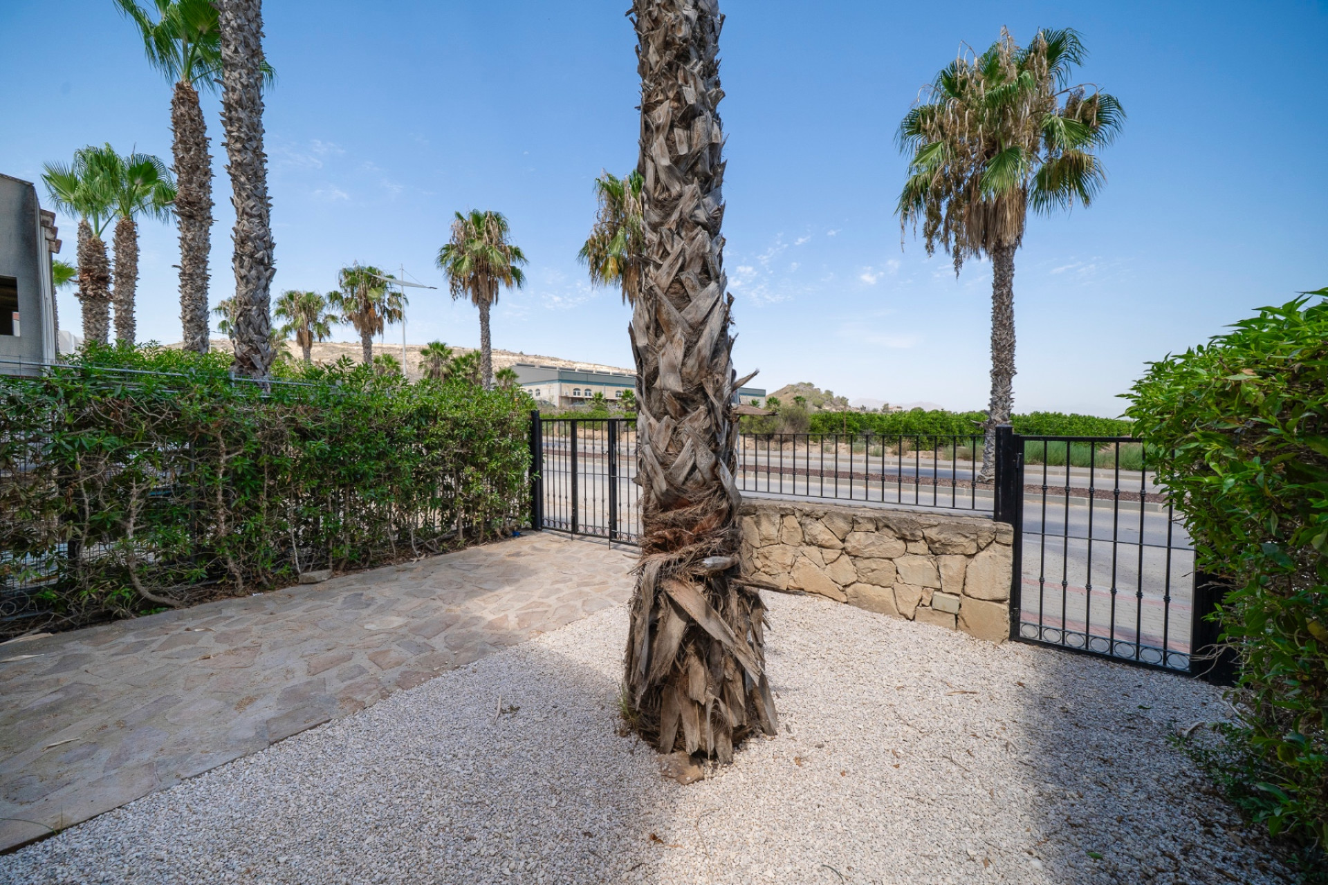 Resale - 1. Apartment / flat - Algorfa - Costa Blanca South