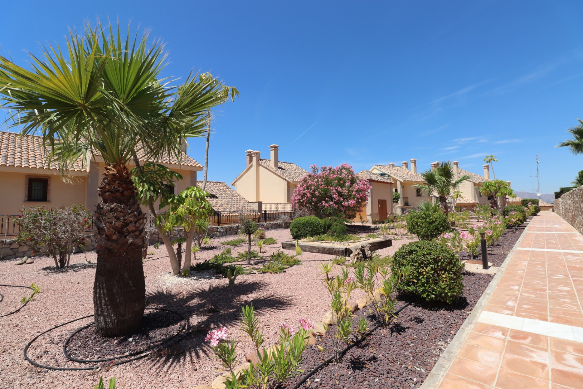 Resale - 1. Apartment / flat - Algorfa - Costa Blanca South