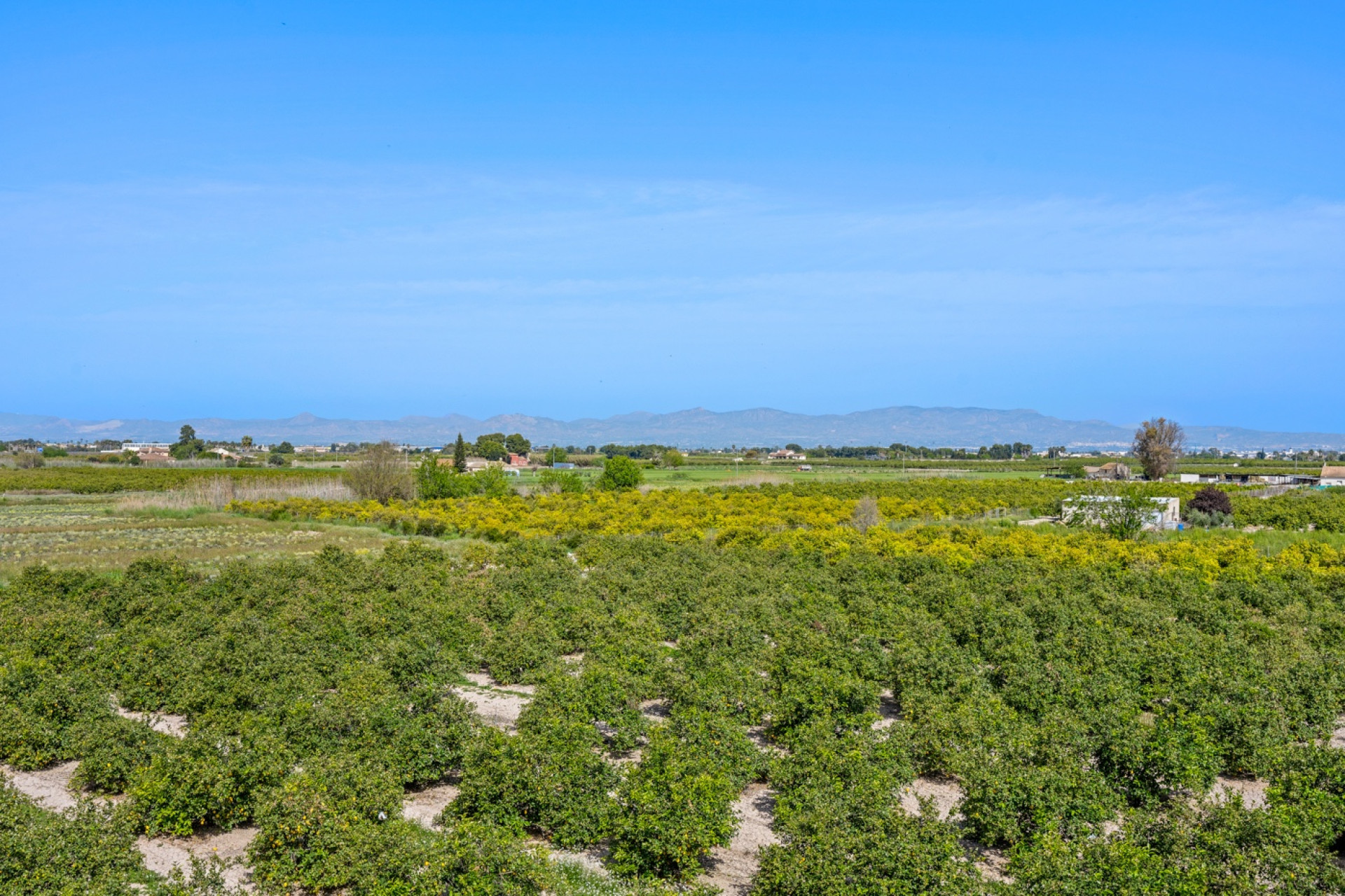 Resale - 1. Apartment / flat - Daya Nueva - Costa Blanca South