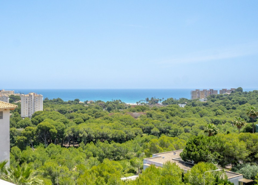 Resale - 1. Apartment / flat - Dehesa de Campoamor - Costa Blanca South