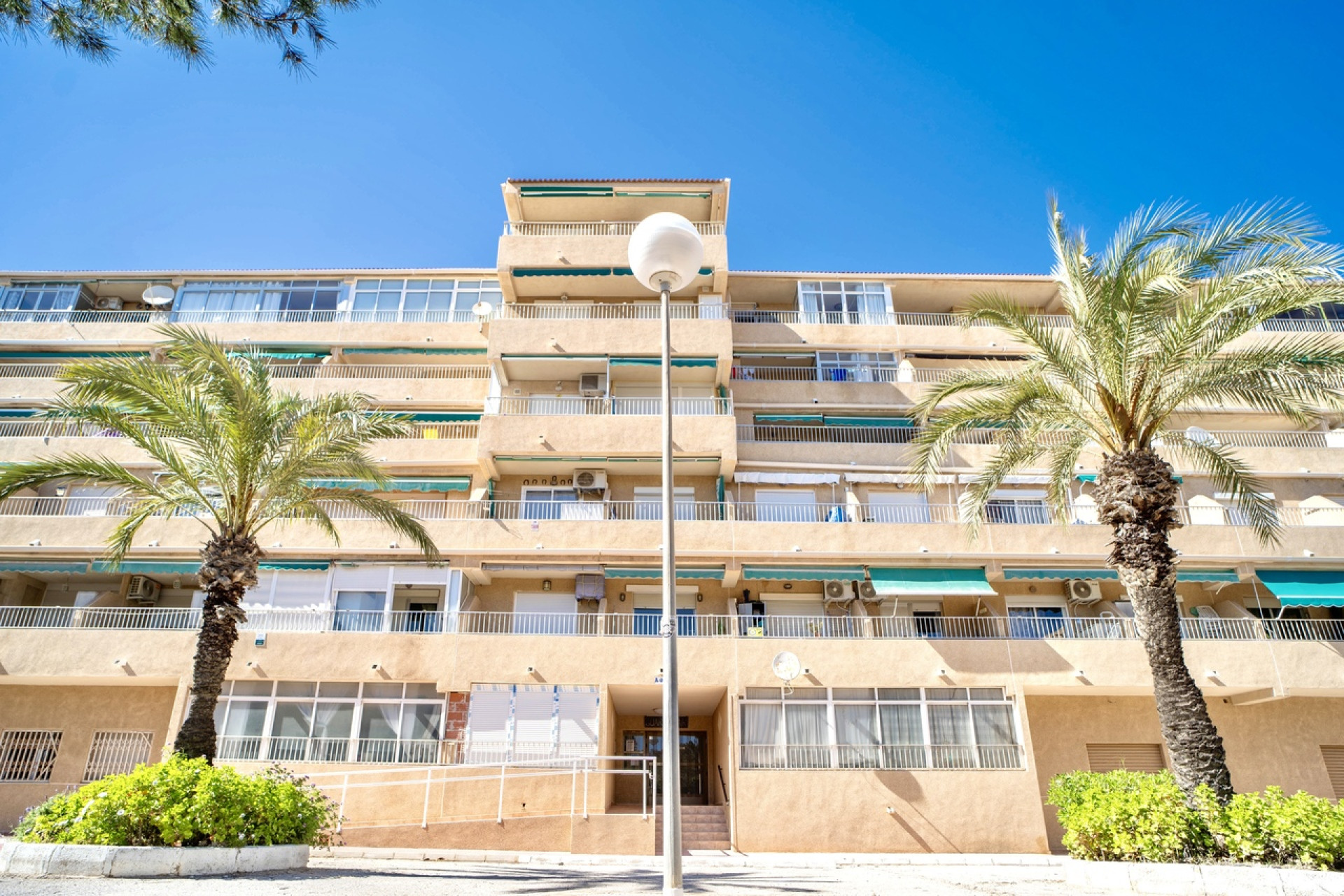 Resale - 1. Apartment / flat - Guardamar del Segura - Costa Blanca South