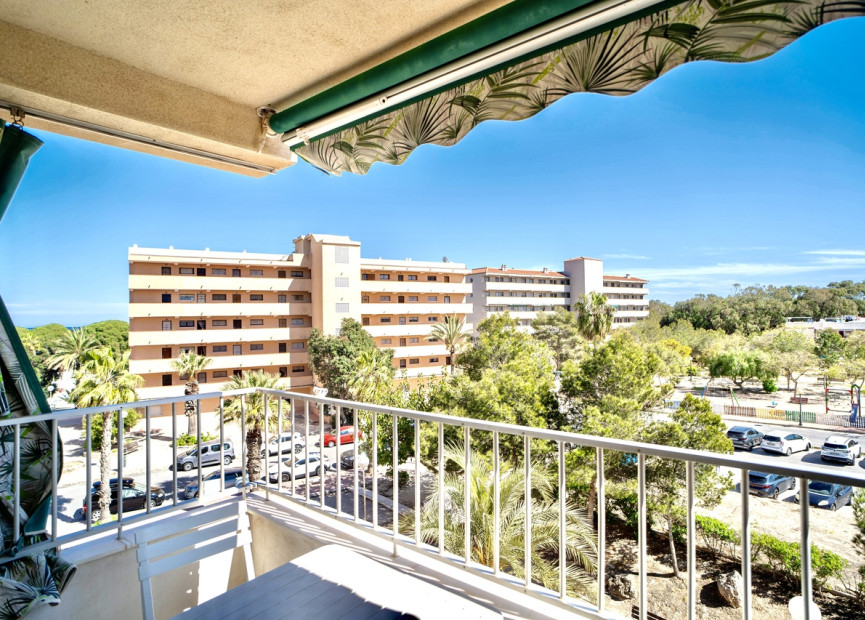 Resale - 1. Apartment / flat - Guardamar del Segura - Costa Blanca South