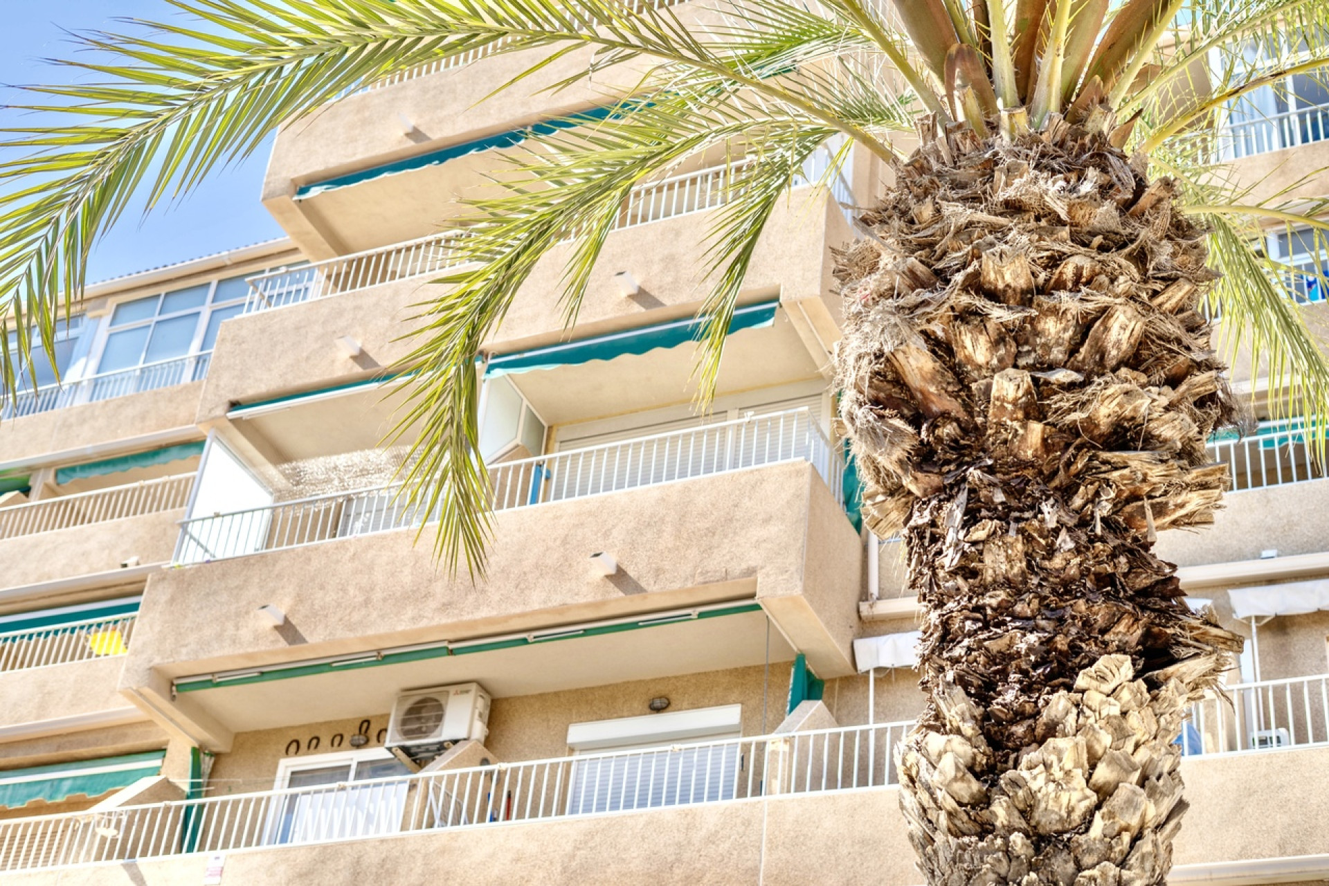 Resale - 1. Apartment / flat - Guardamar del Segura - Costa Blanca South