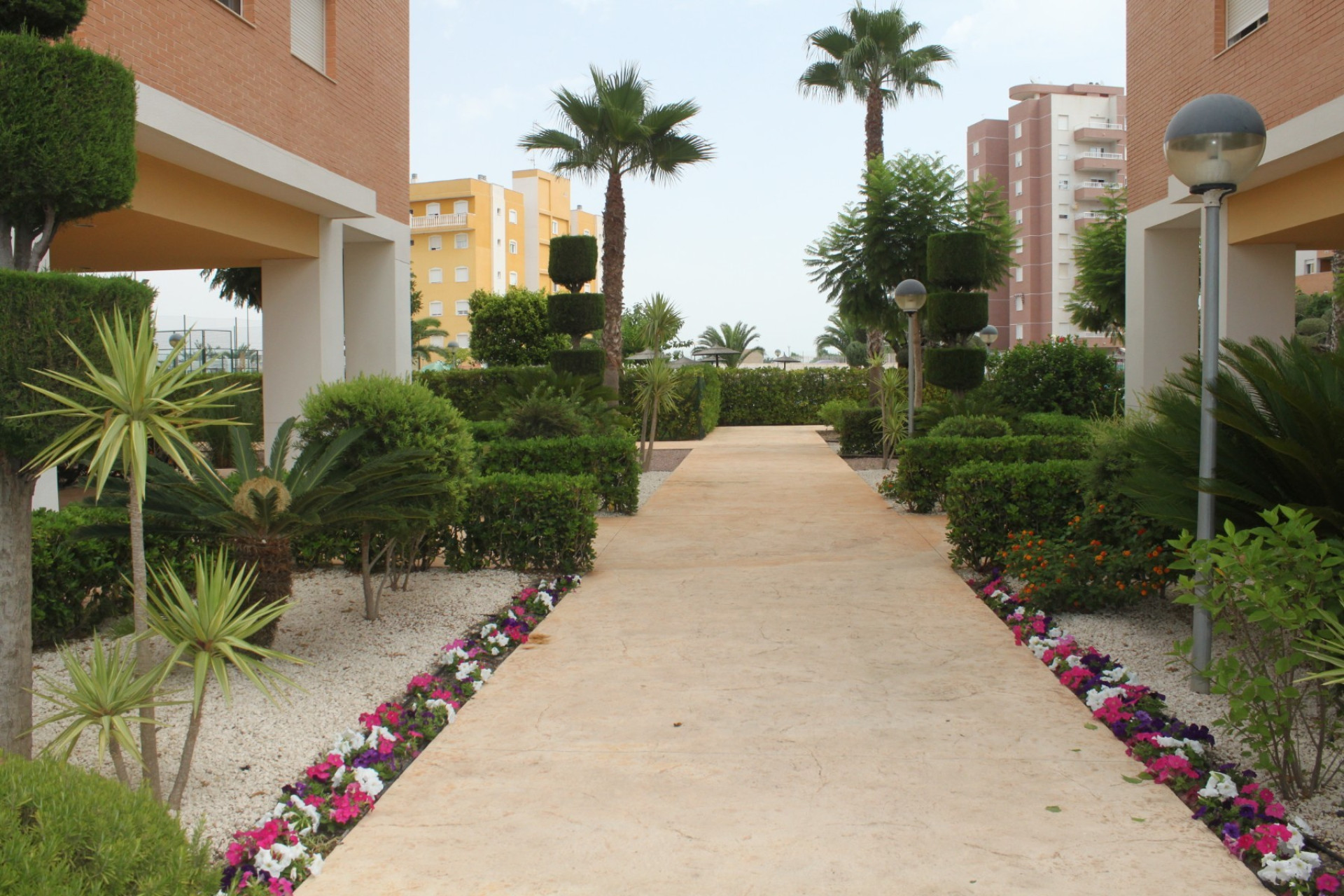 Resale - 1. Apartment / flat - Guardamar del Segura - Guardamar