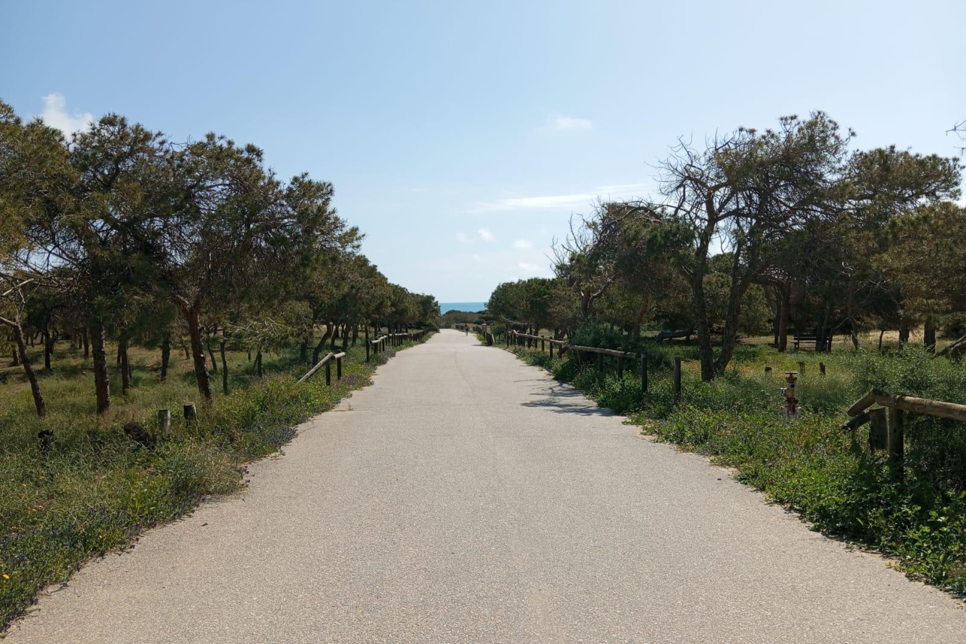 Resale - 1. Apartment / flat - Guardamar del Segura - Urbanizaciones