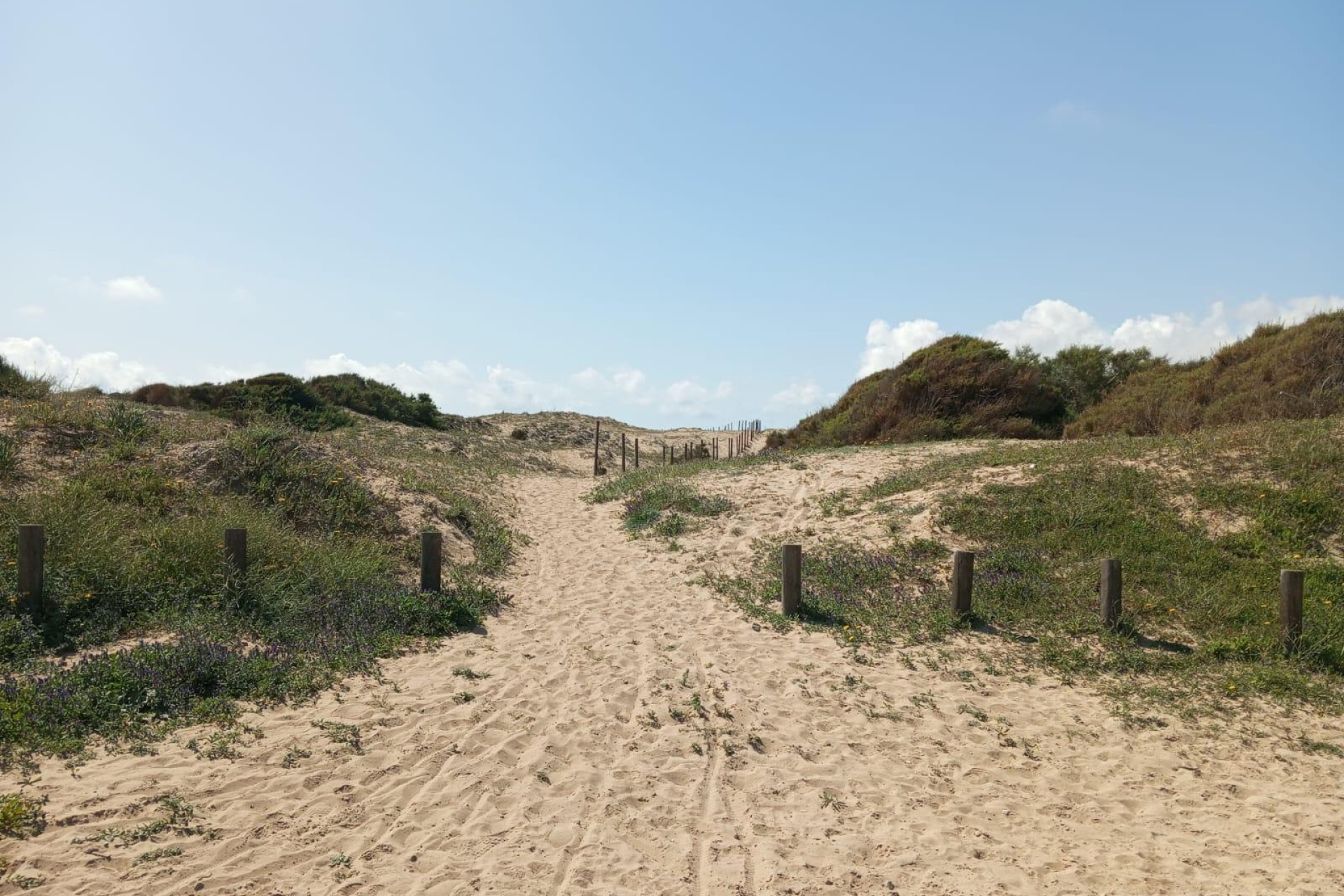 Resale - 1. Apartment / flat - Guardamar del Segura - Urbanizaciones