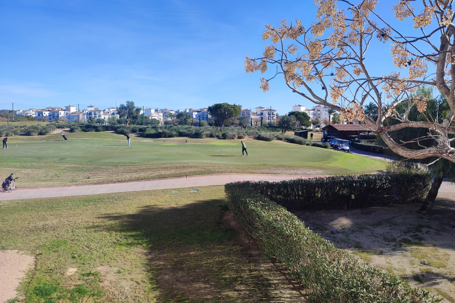 Resale - 1. Apartment / flat - Hacienda Riquelme Golf Resort - Hacienda Riquelme Golf Resort - Centre