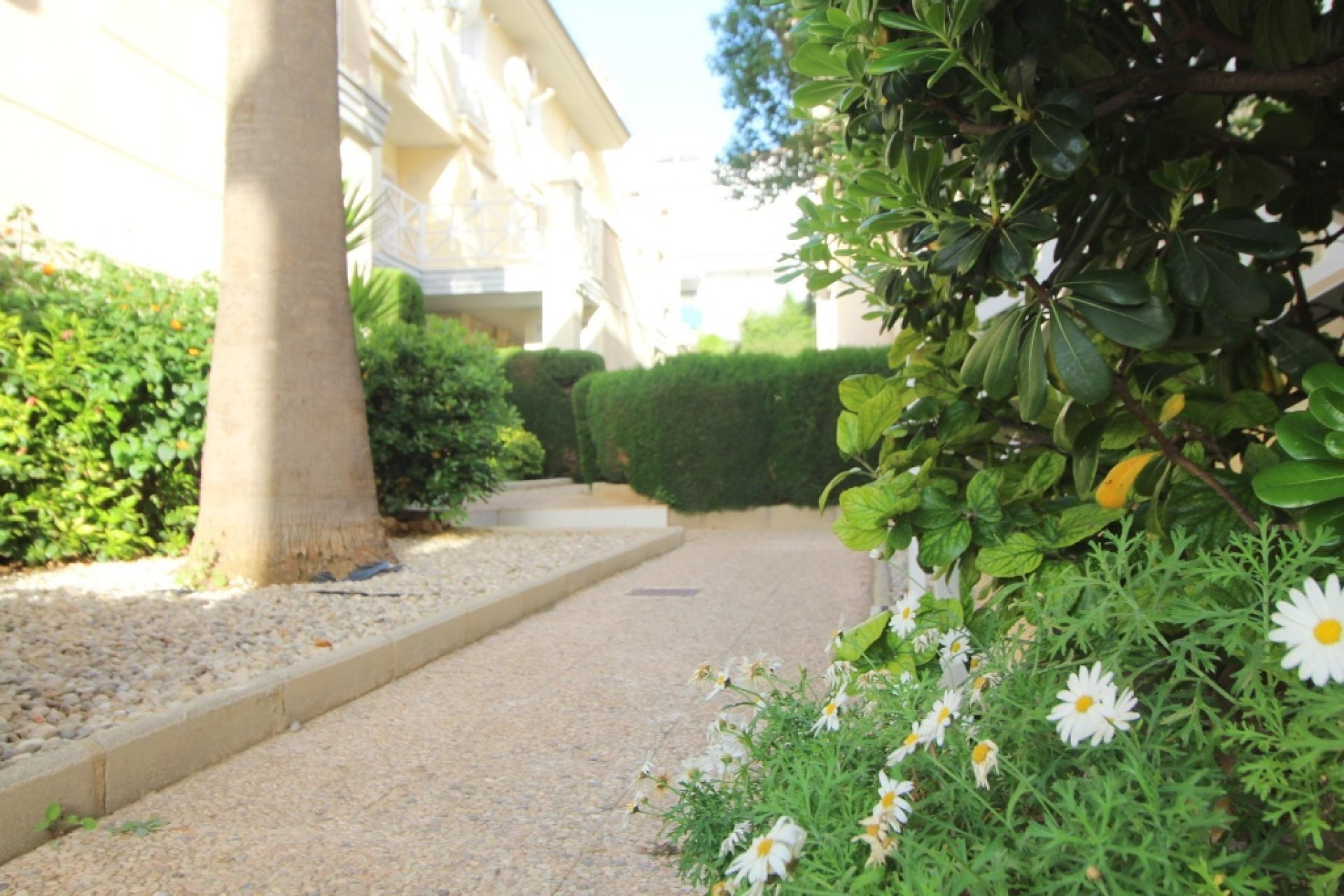 Resale - 1. Apartment / flat - La Veleta - Costa Blanca South