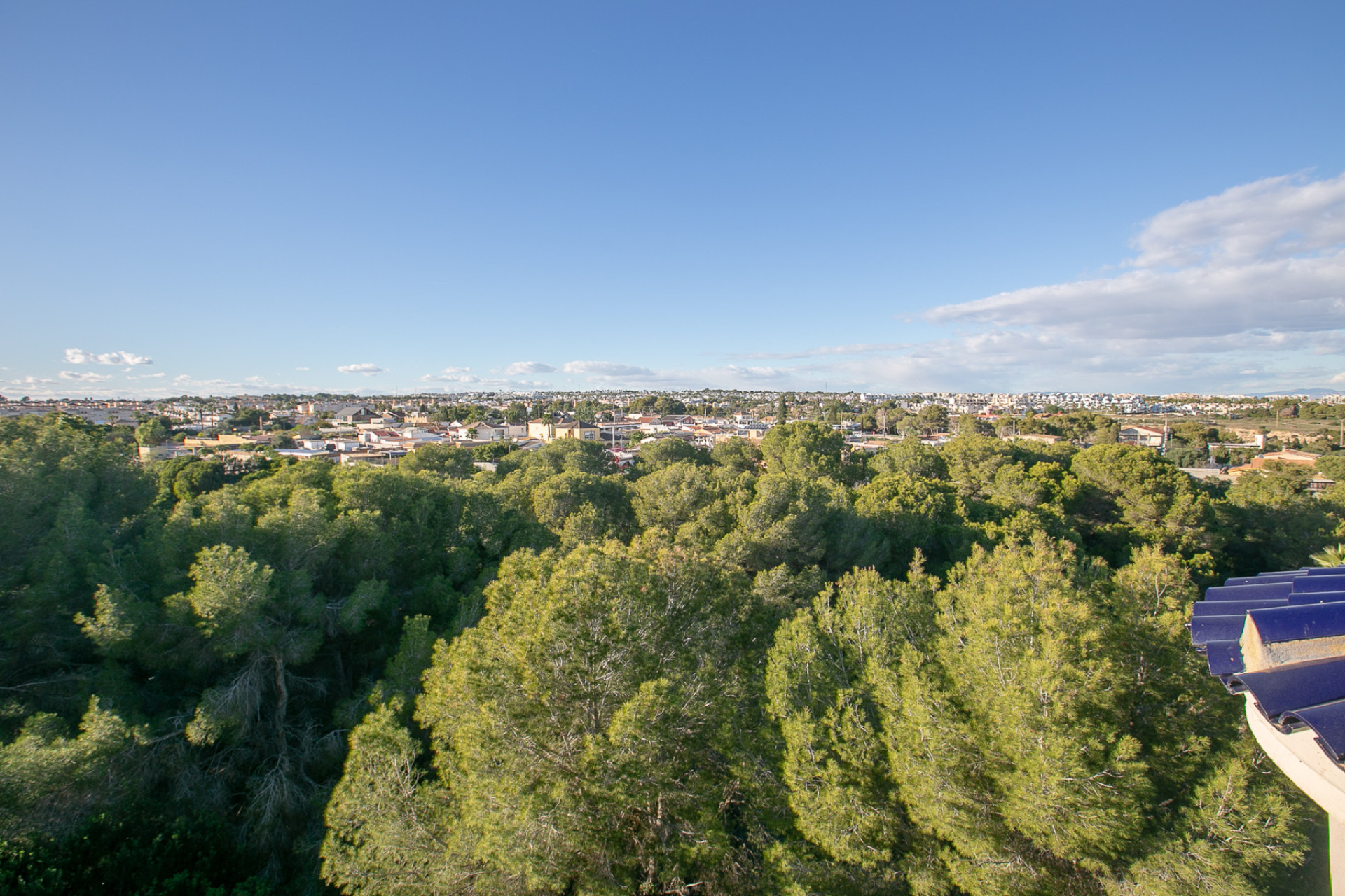 Resale - 1. Apartment / flat - Lomas de Cabo Roig - Costa Blanca South