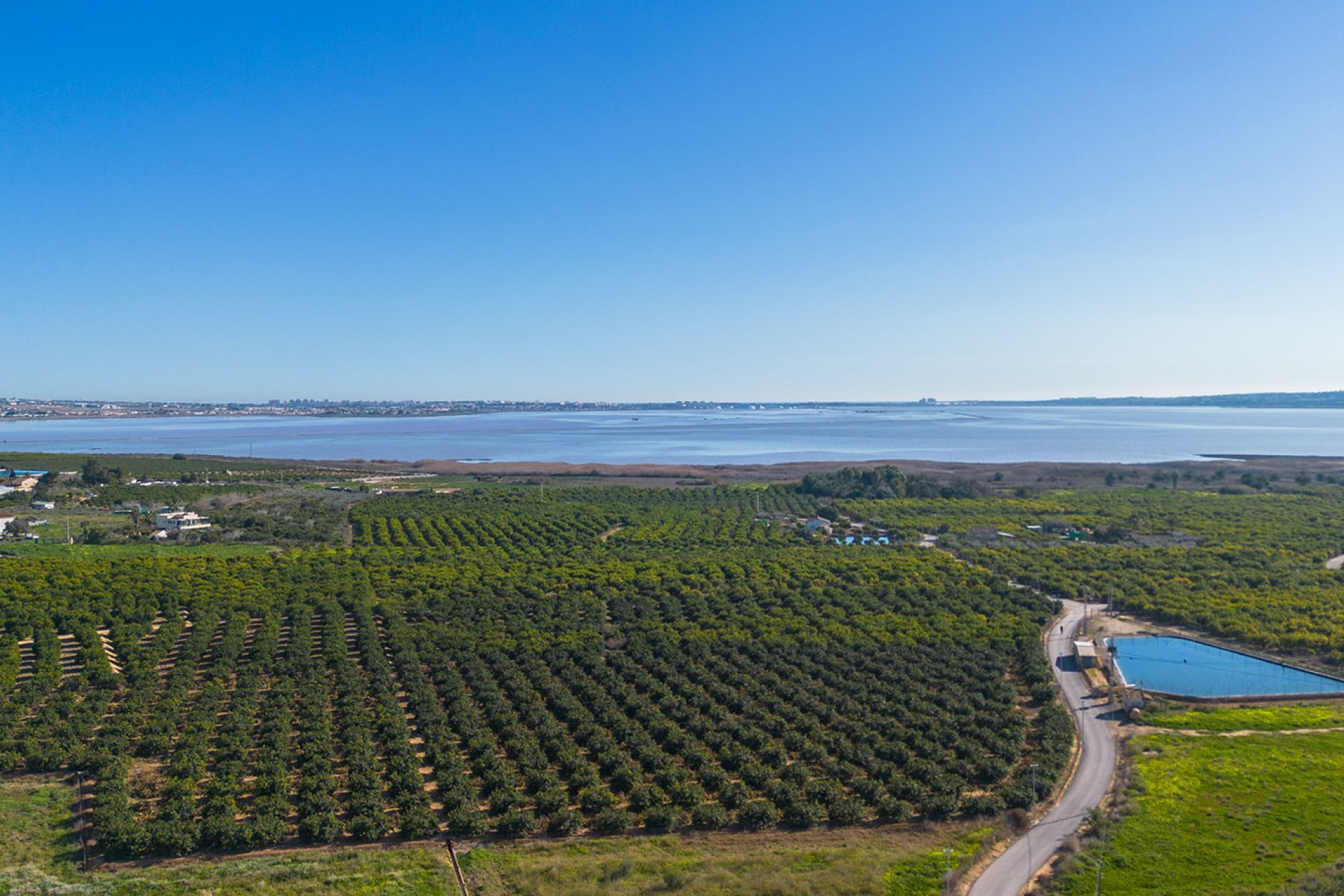 Resale - 1. Apartment / flat - Los Montesinos - Costa Blanca South