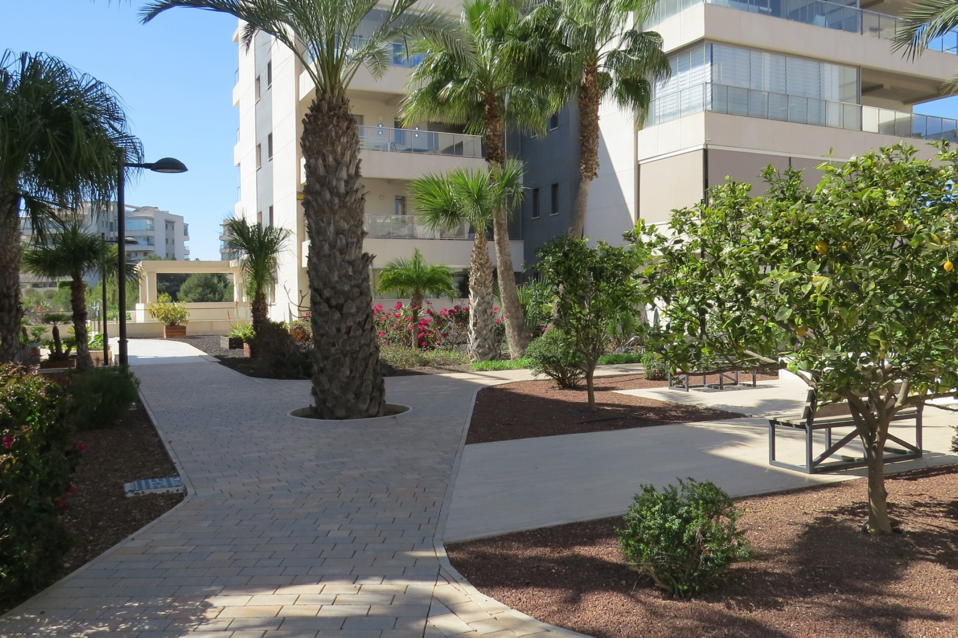 Resale - 1. Apartment / flat - Orihuela Costa